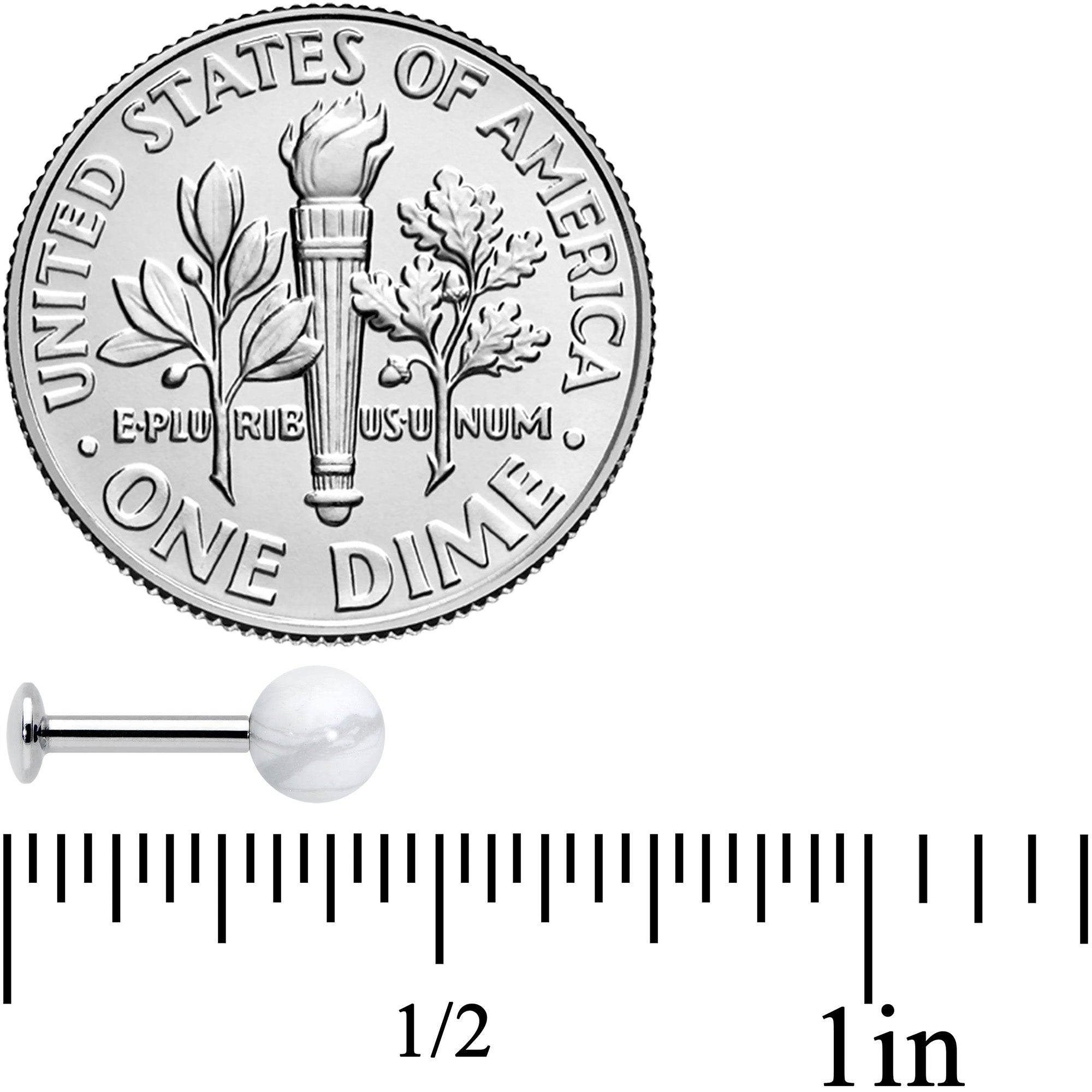 16G 1/4 Elegant White Howlite Internally Threaded Labret Tragus