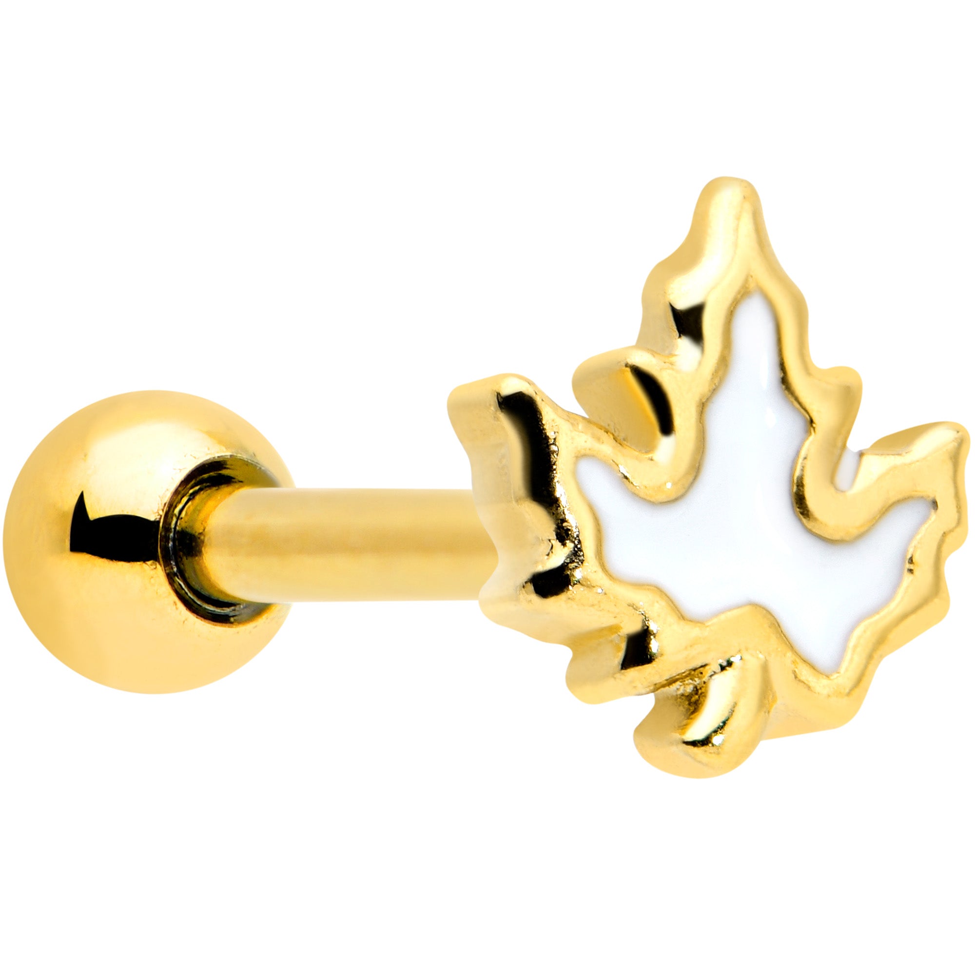 16G 1/4 Gold Tone Fall White Maple Leaf Cartilage Tragus Earring