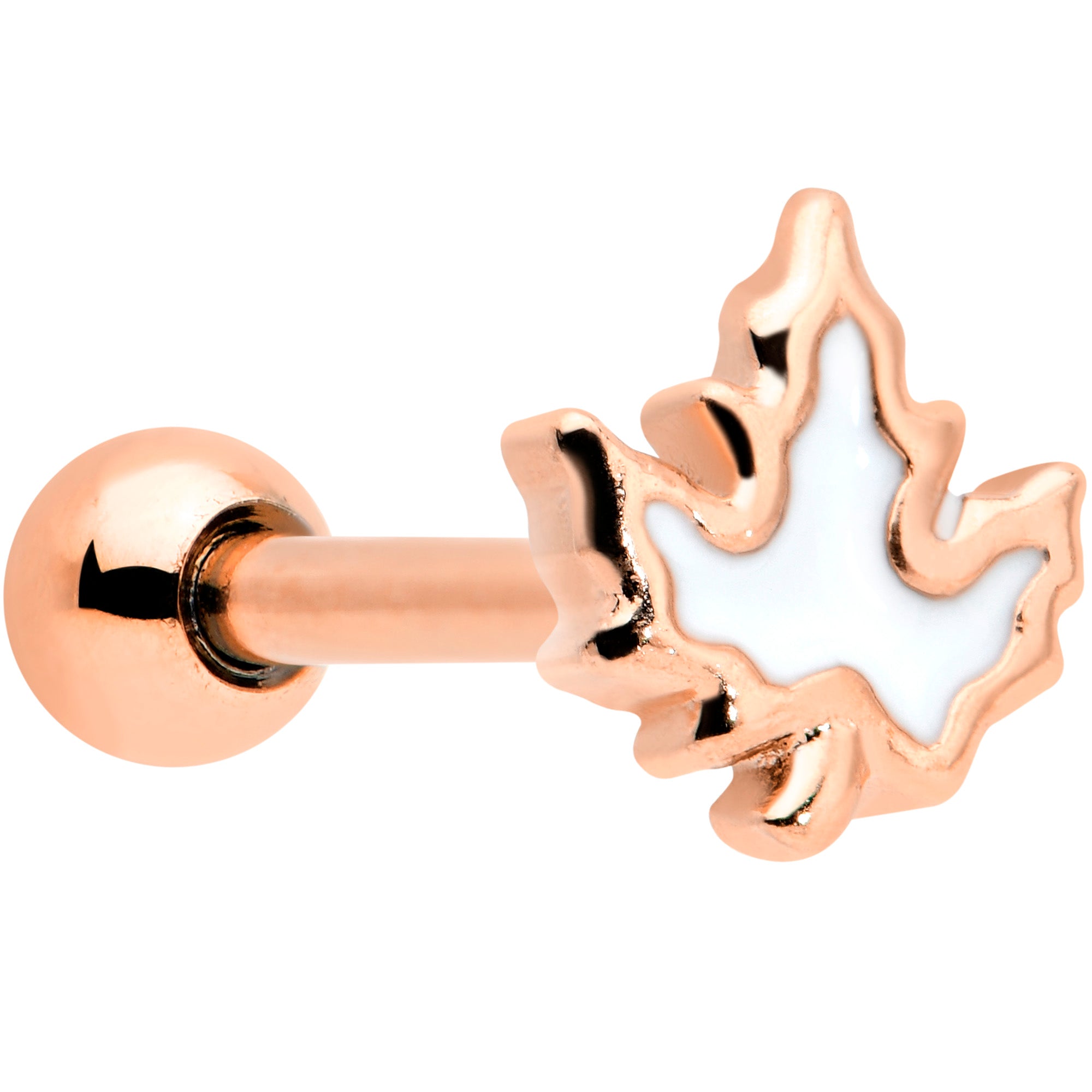 16G 1/4 Rose Gold Tone Fall White Maple Leaf Cartilage Tragus