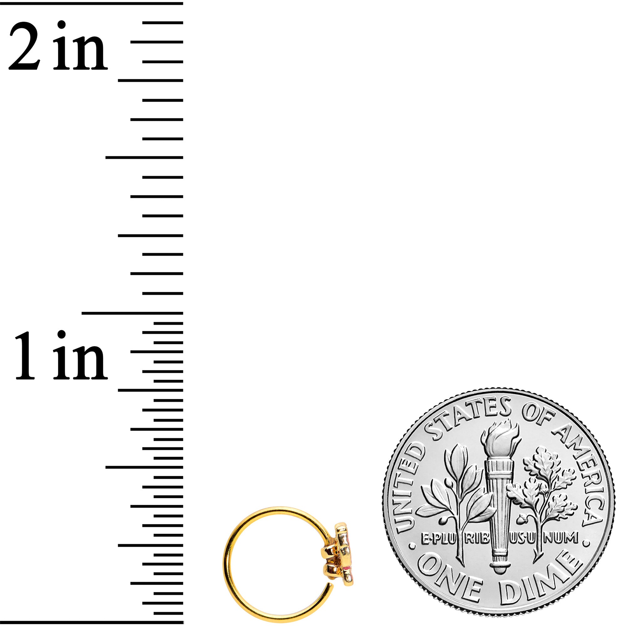 20G 5/16 Gold Tone Sweet Simple Butterfly Nose Hoop