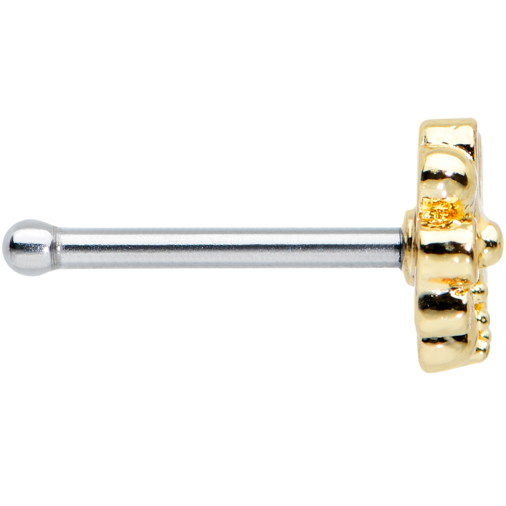 20G 1/4 Gold Tone White Texture Daisy Flower Nose Bone
