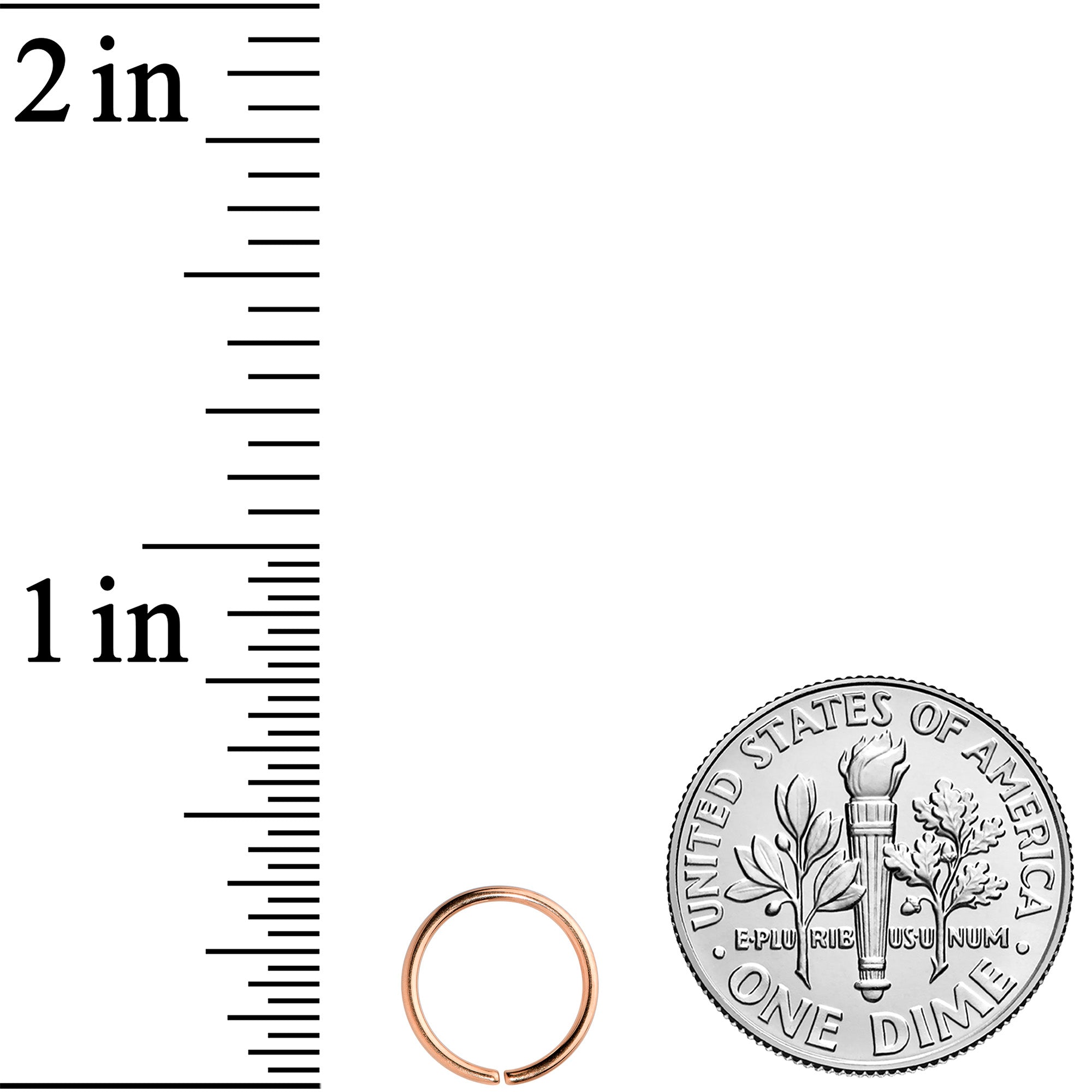 20G 5/16 Rose Gold Tone PVD Grade 23 Titanium Bendable Hoop Ring