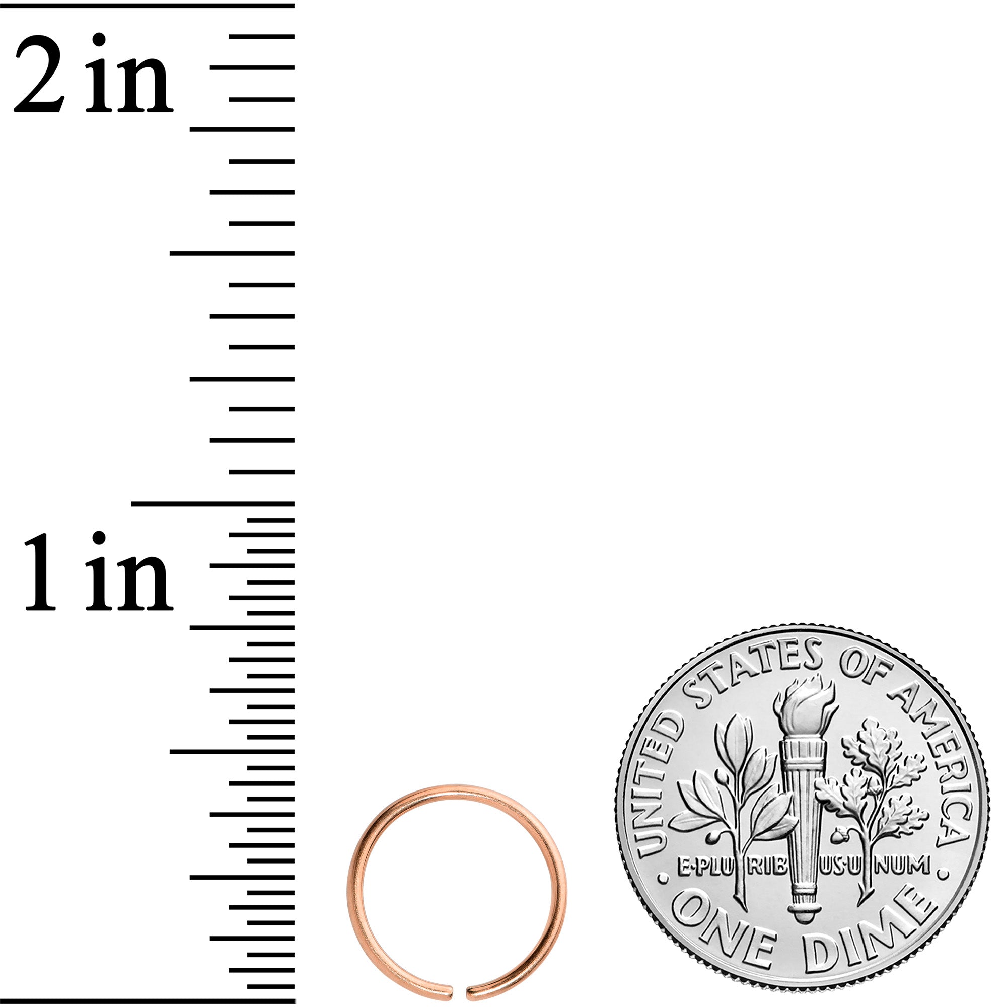 20G 9mm Rose Gold Tone PVD Grade 23 Titanium Bendable Hoop Ring