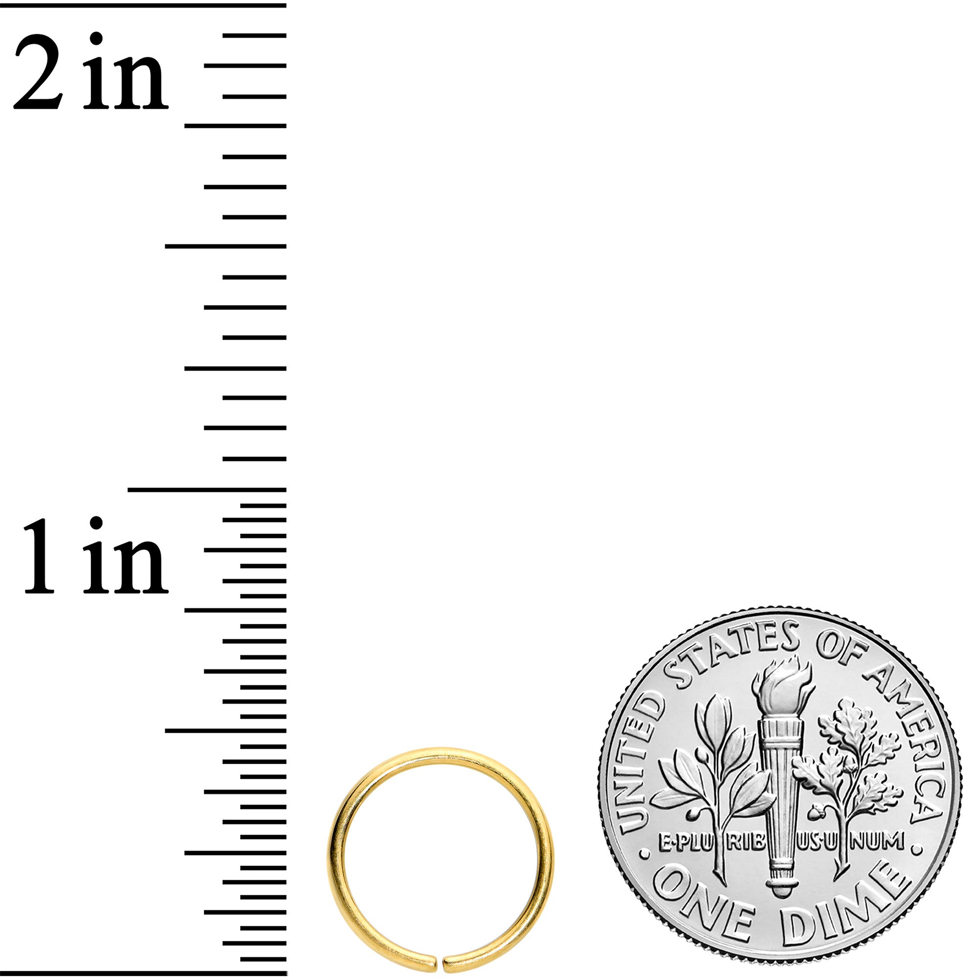 18G 3/8 Gold Tone PVD Grade 23 Titanium Bendable Hoop Ring