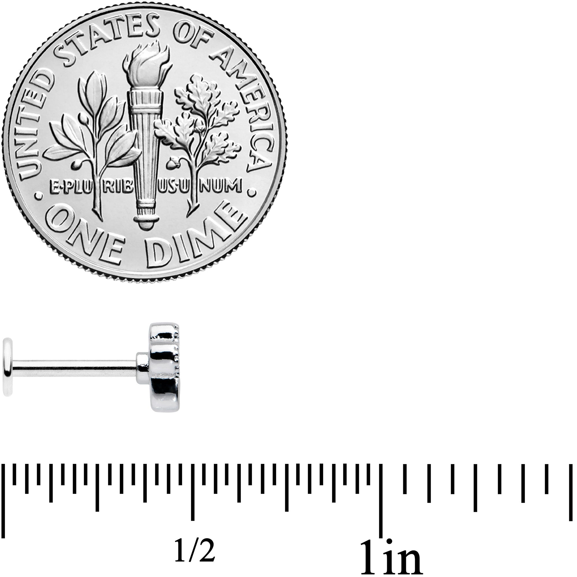 16G 5/16 Textured Black Paw Print Labret Monroe Tragus