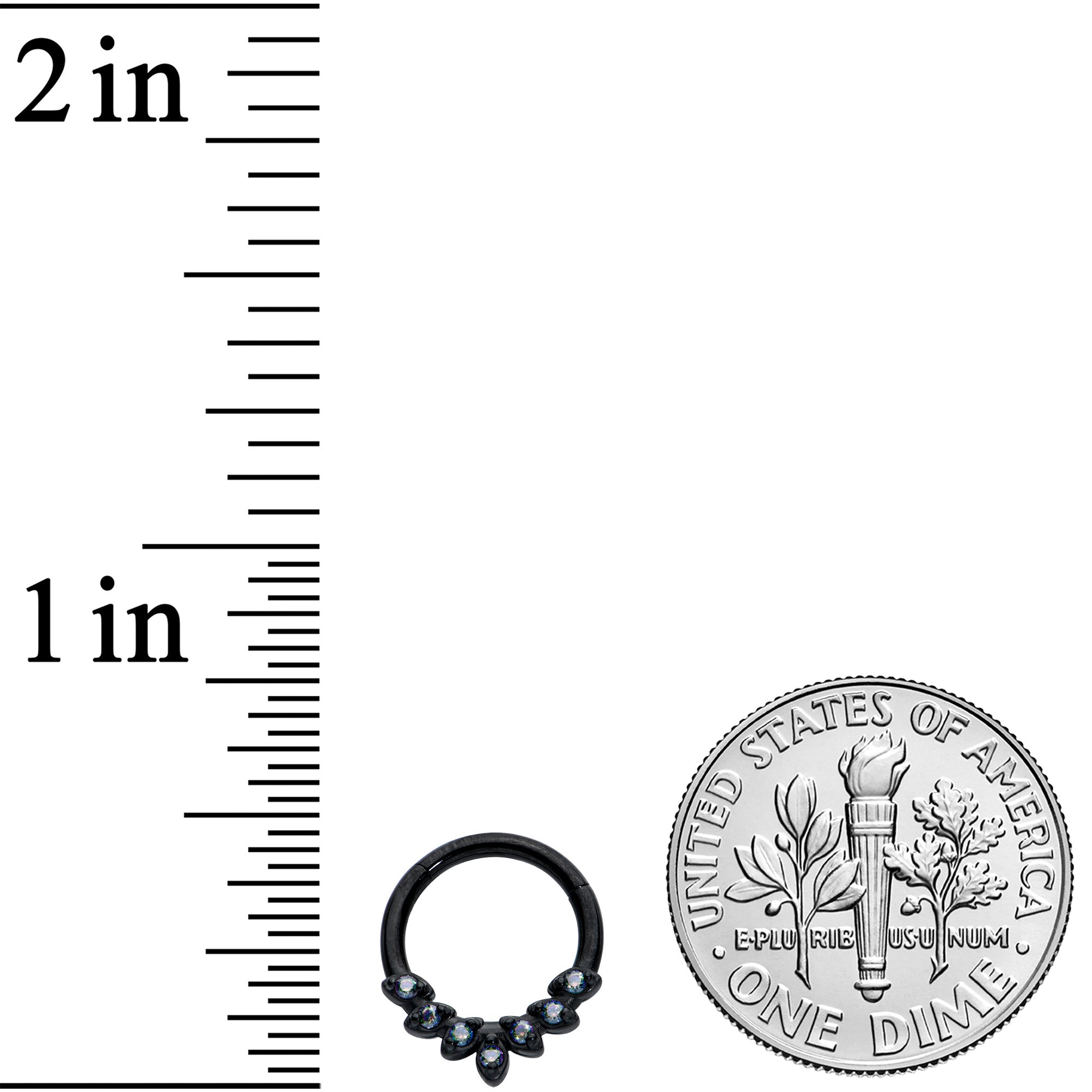 16G 5/16 Vitrail CZ Gem Black Seven Leaf Hinged Segment Ring