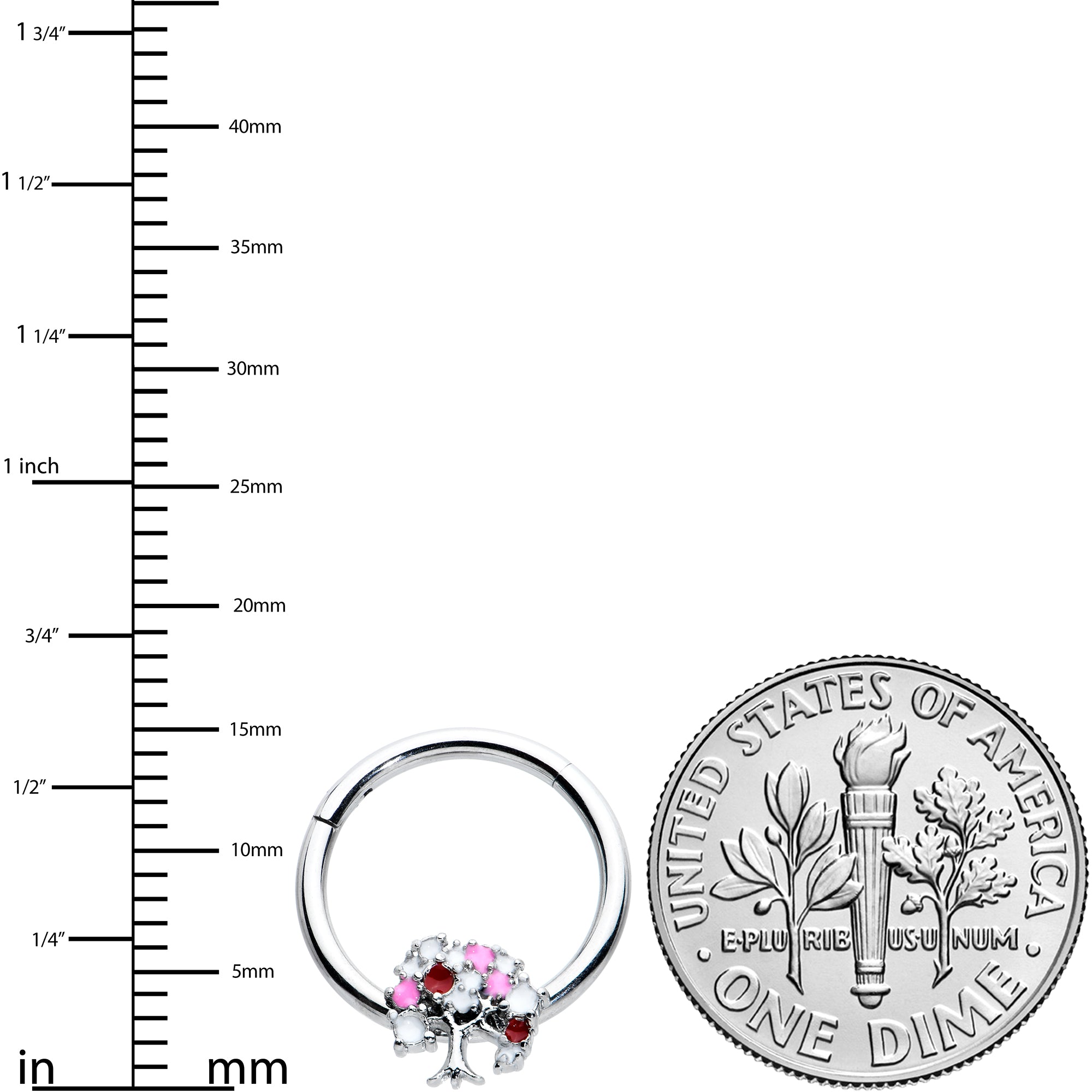 16G 3/8 Red Gem Luscious Pinks Fruit Tree Hinged Segment Ring