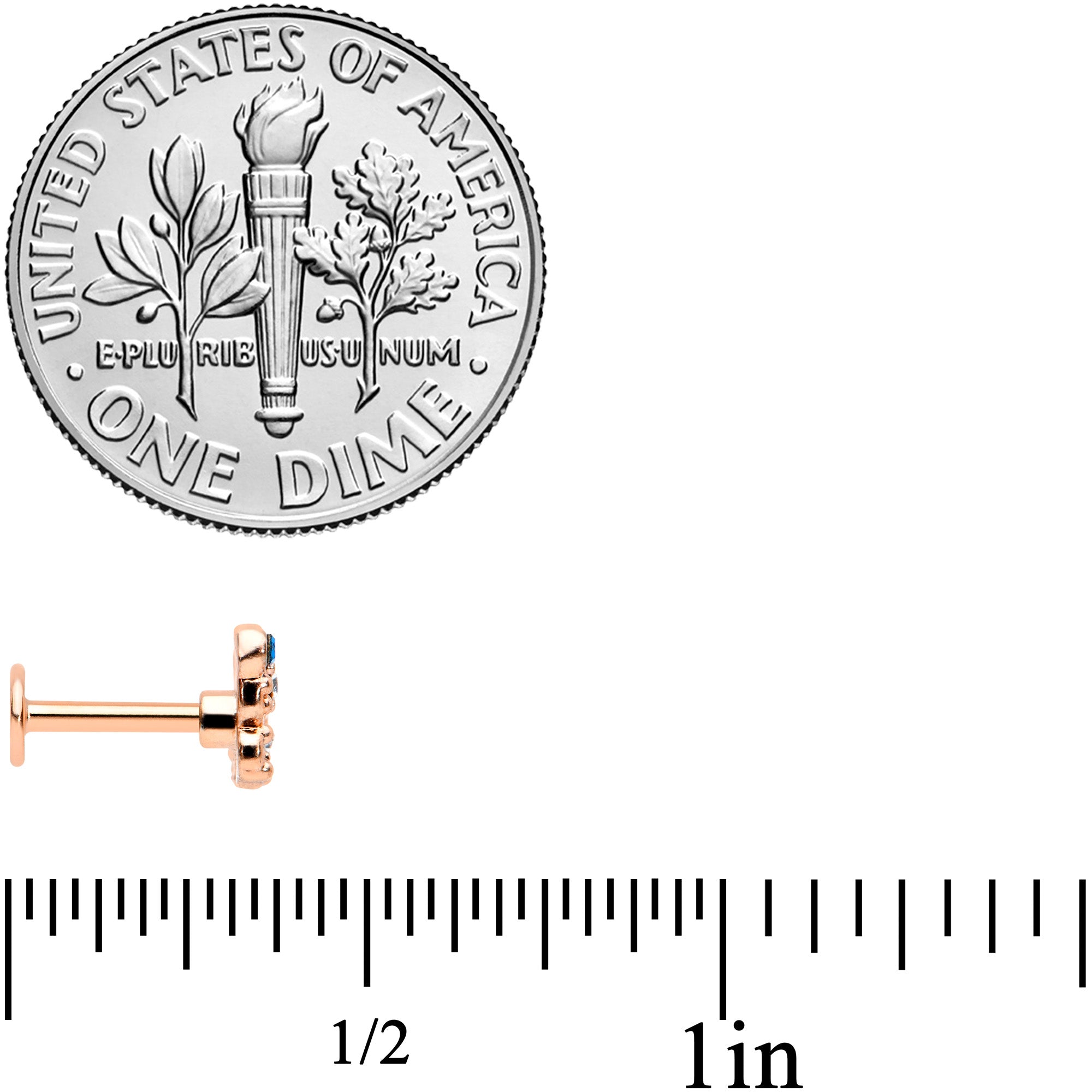 16G 5/16 Blue Gem Rose Gold Tone Butterfly Labret Monroe Tragus