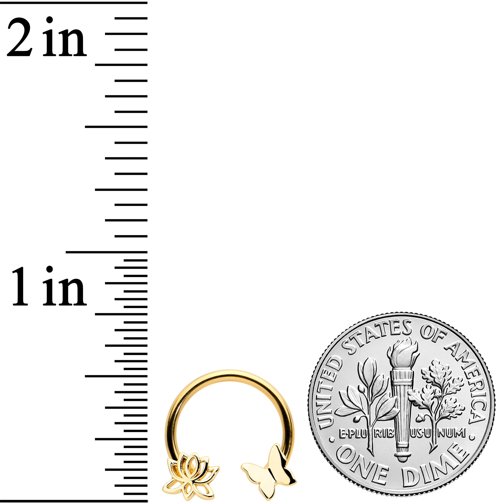 16G 3/8 Gold Tone Butterfly Lotus Flower Horseshoe Circular Barbell