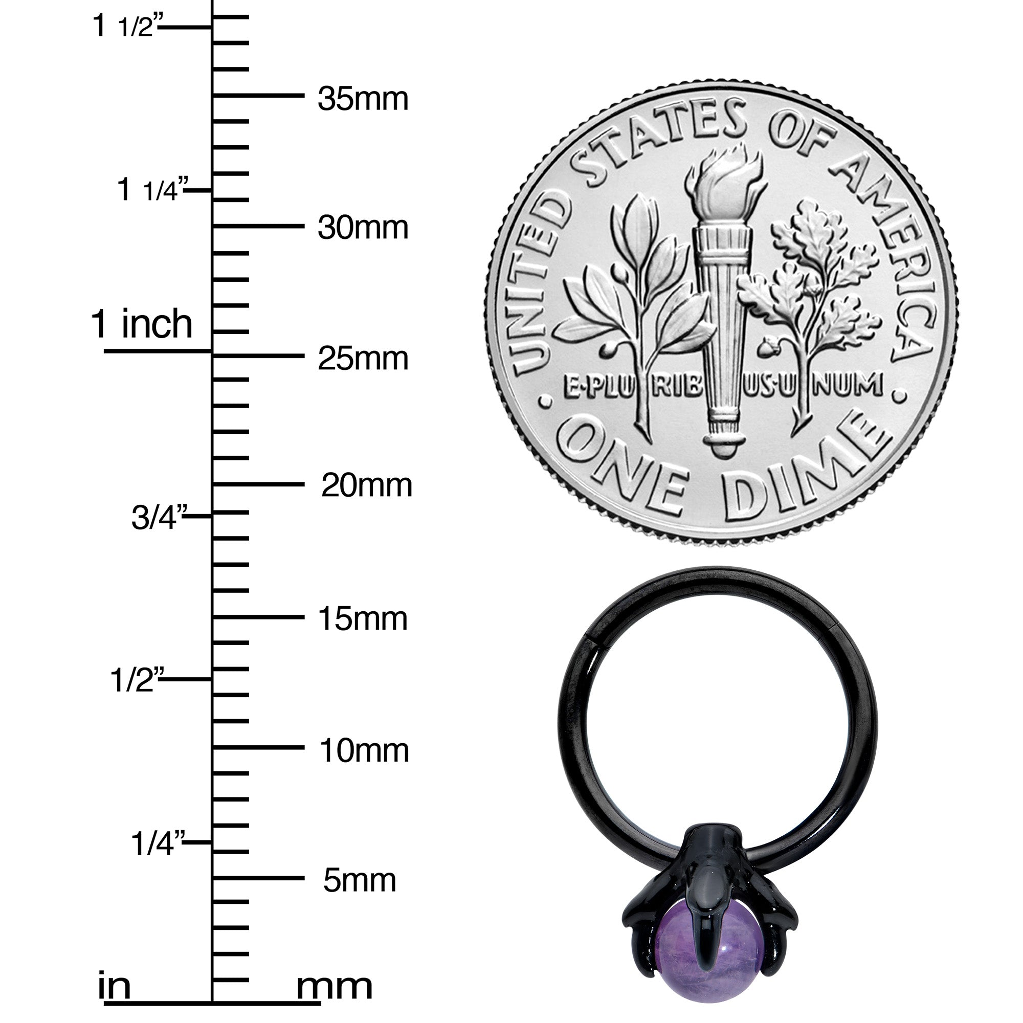 16G 3/8 Purple Amethyst Black Claw Hand Hinged Segment Ring