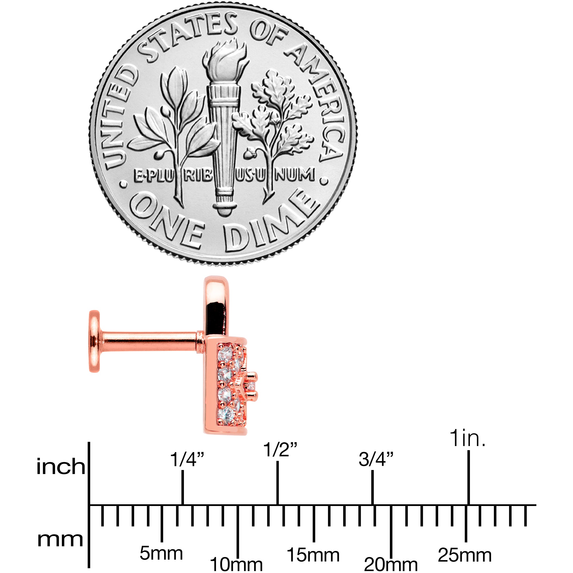 16G 1/4 Clear CZ Gem Rose Gold Tone Lock It Up Labret