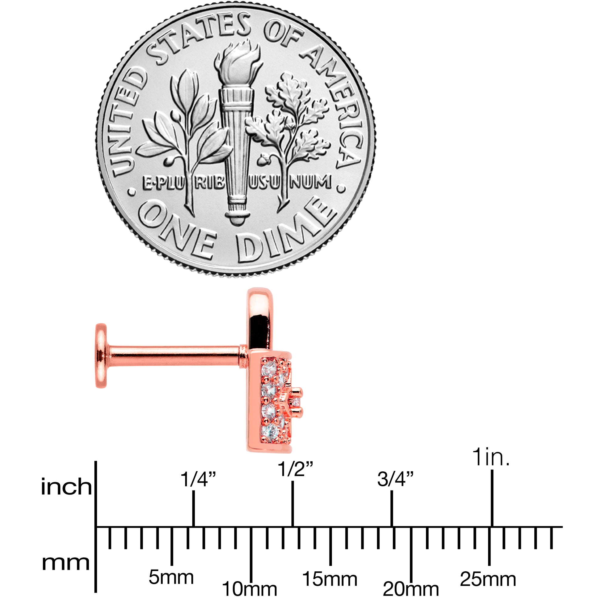 16G 5/16 Clear CZ Gem Rose Gold Tone Lock It Up Labret Tragus