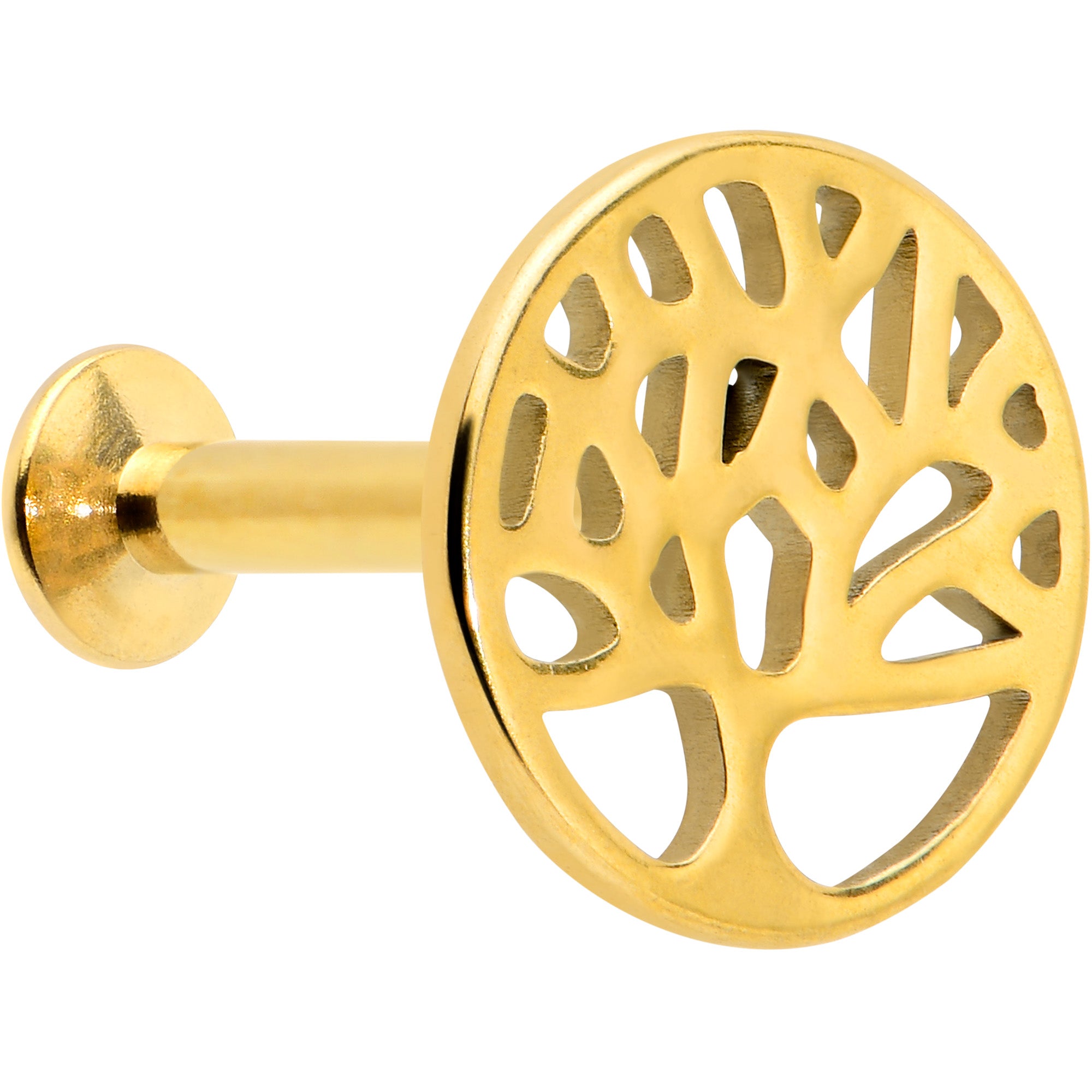 16G 5/16 Gold Tone Tree Circle Internal Thread Labret Monroe Tragus