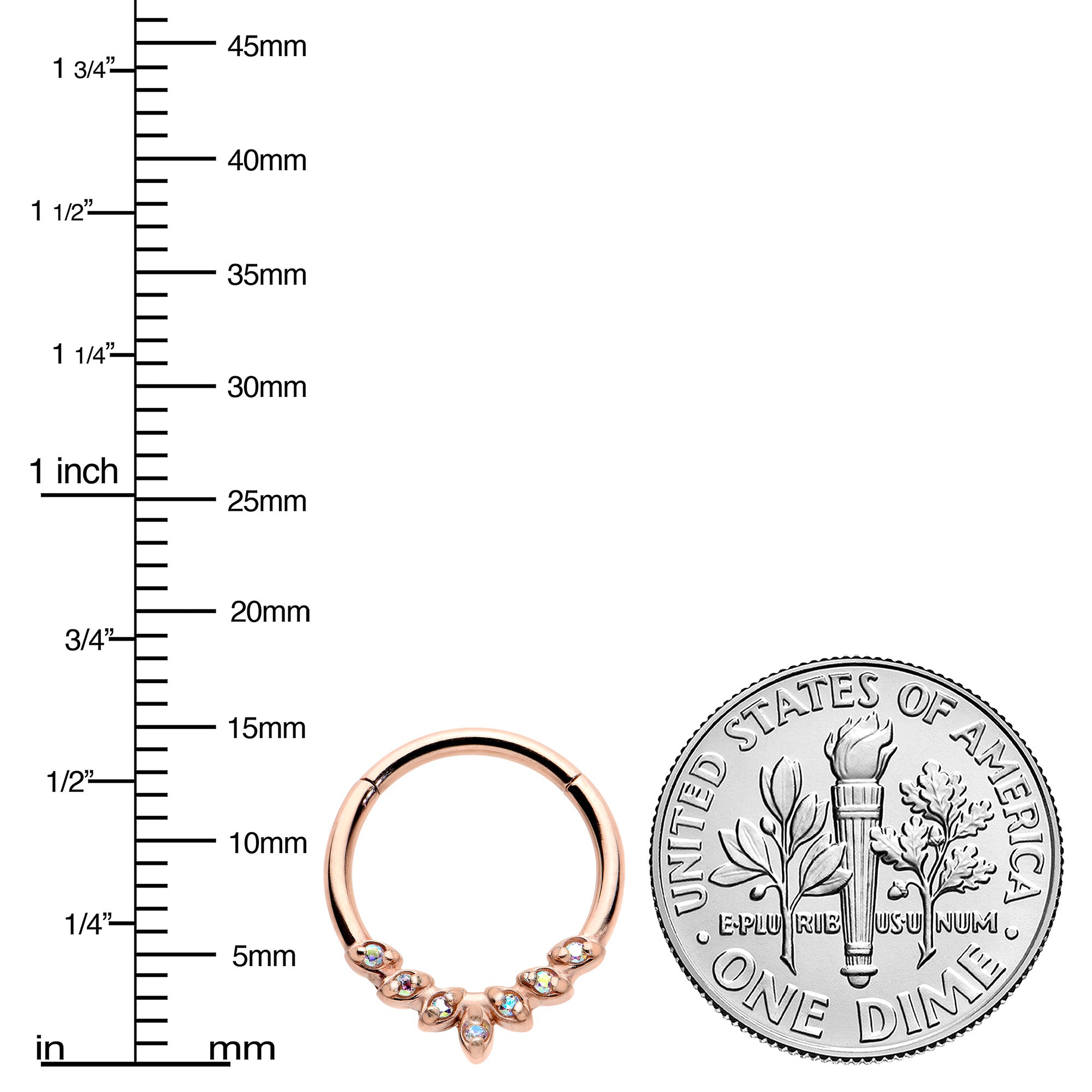 16G 3/8 Aurora CZ Gem Rose Gold Hue Seven Leaf Hinged Segment Ring