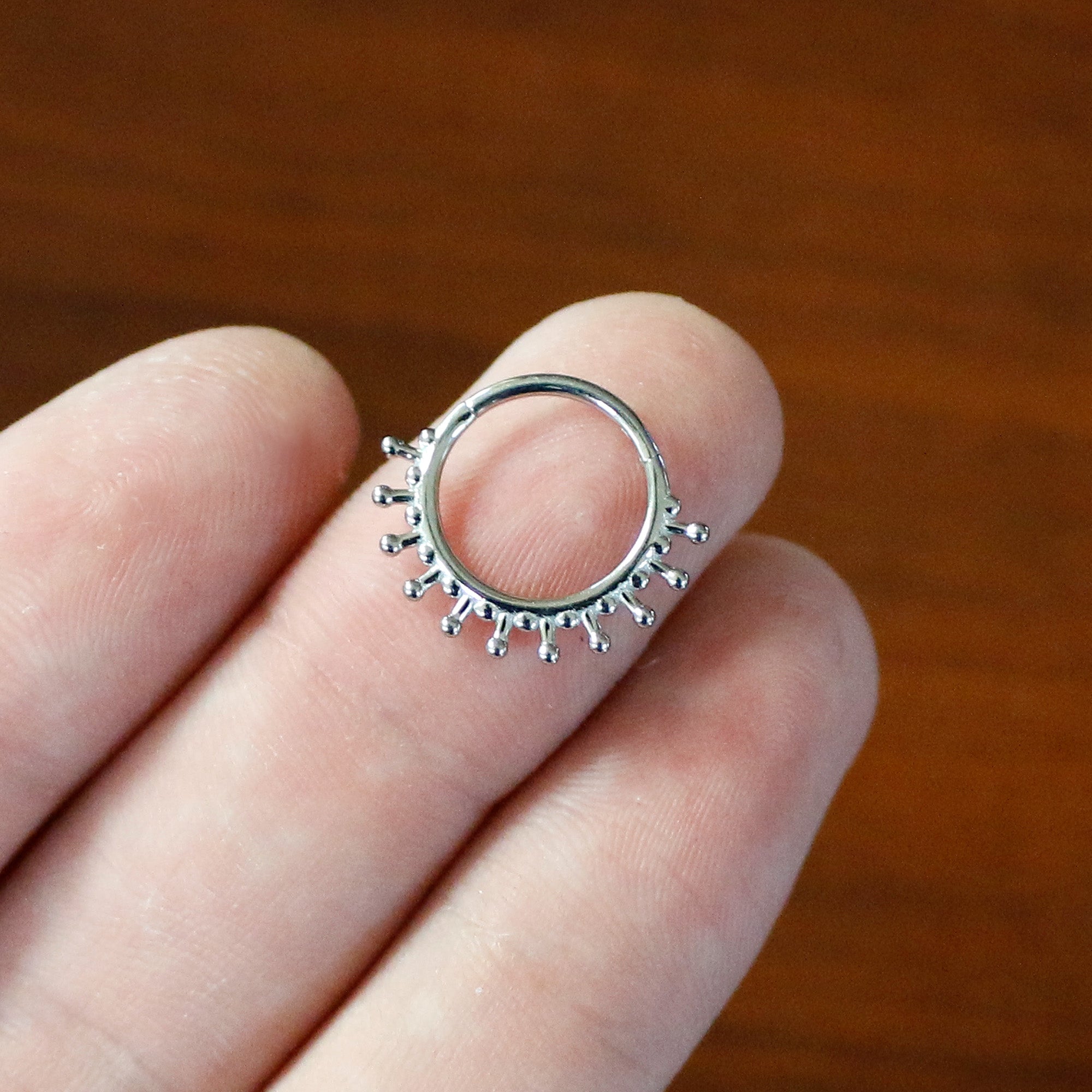 16G 3/8 Splatter Effect Hinged Segment Ring