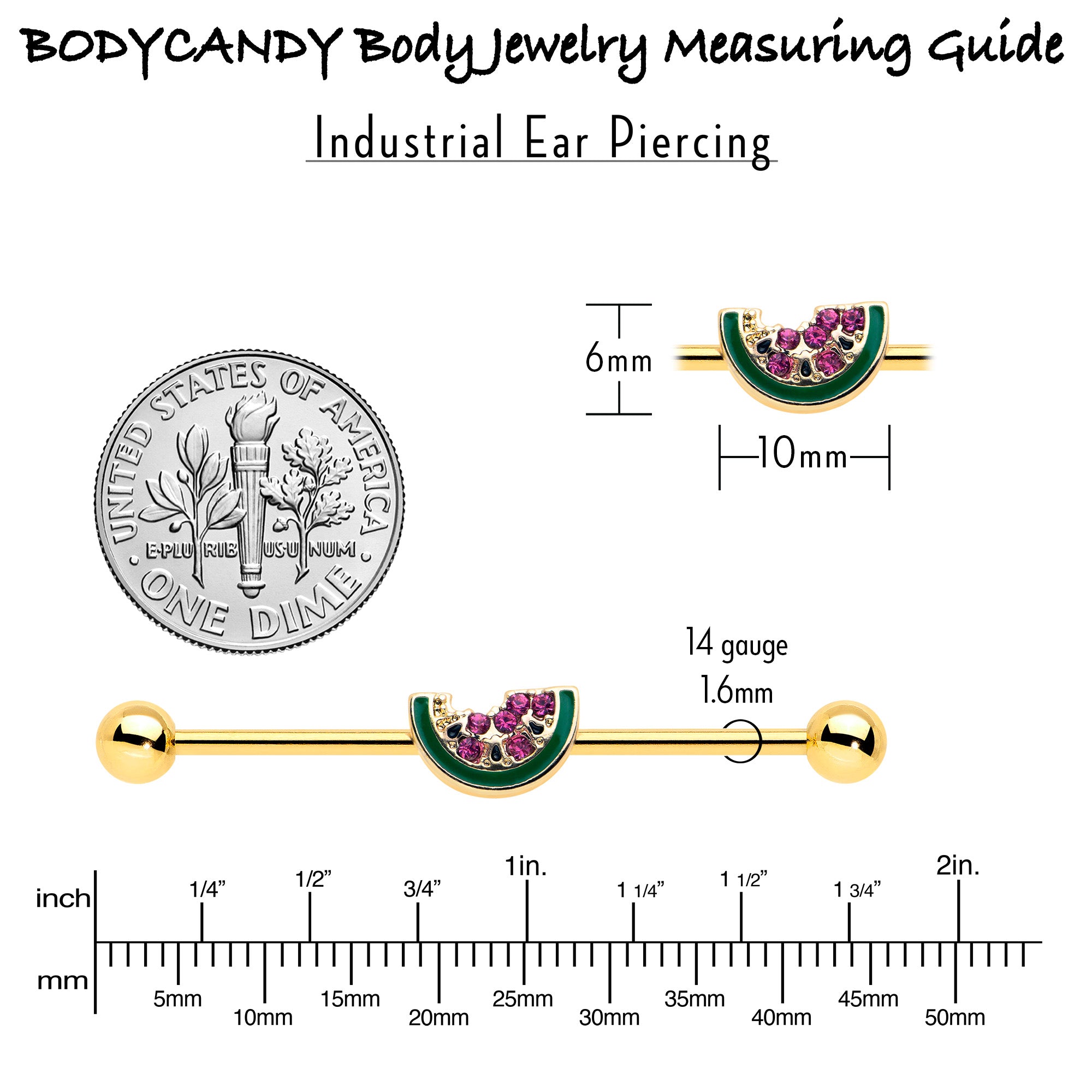 14G Gold Tone Watermelon Bite Industrial Barbell 38mm