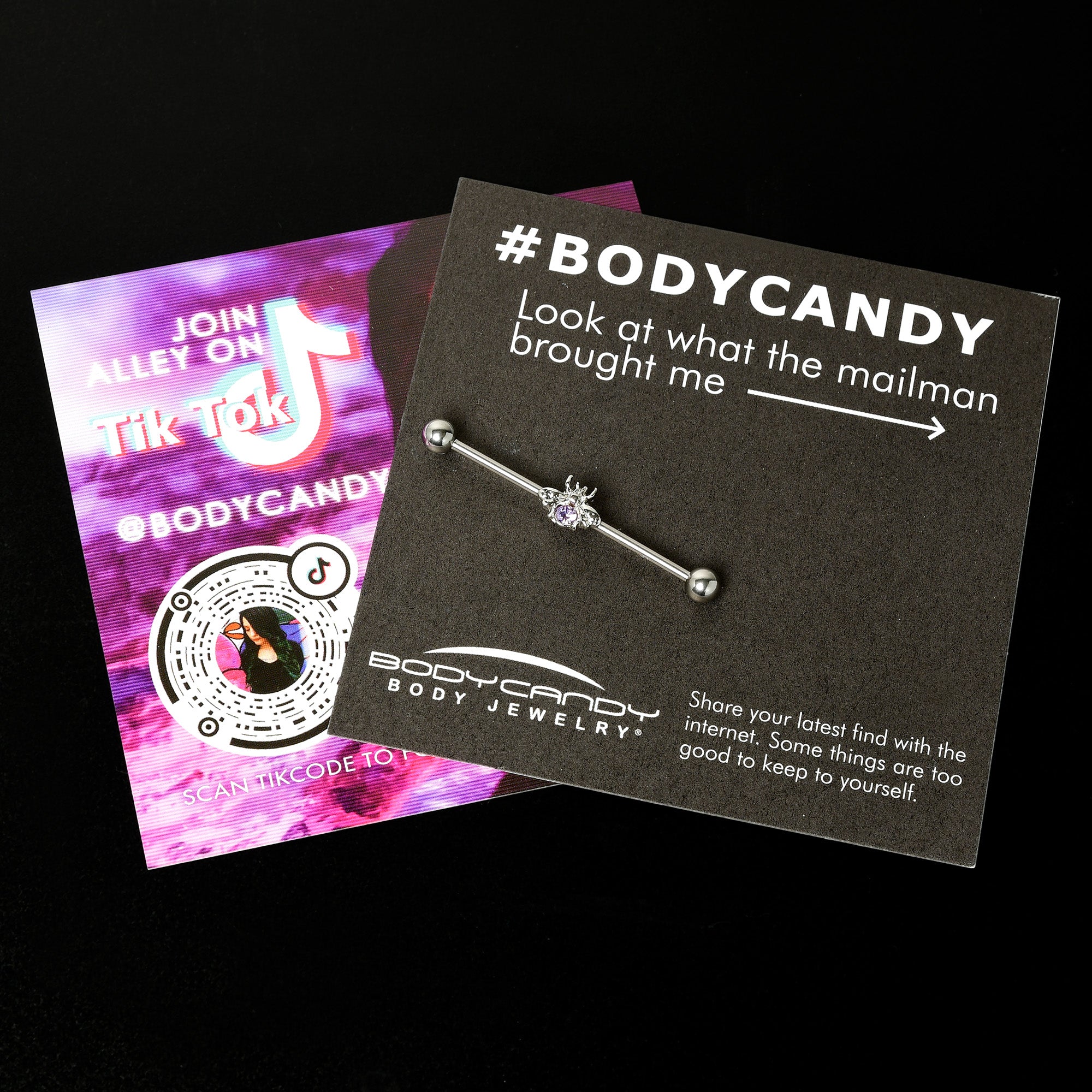 14G Purple Gem Bee Beautiful Insect Industrial Barbell 38mm