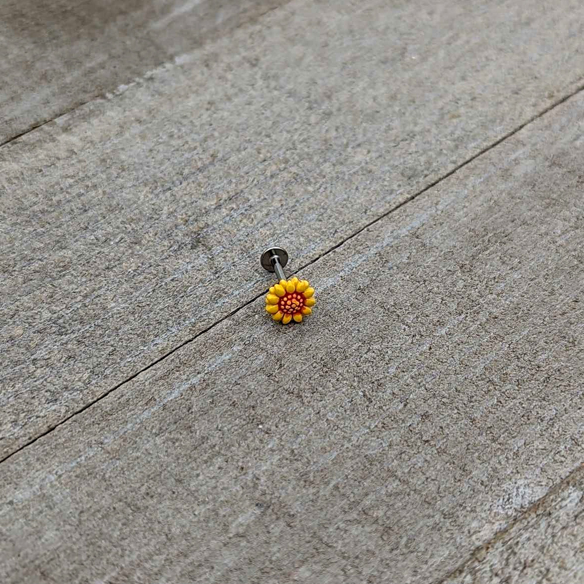 16G 5/16 Happy Sunflower Yellow Labret Monroe Tragus