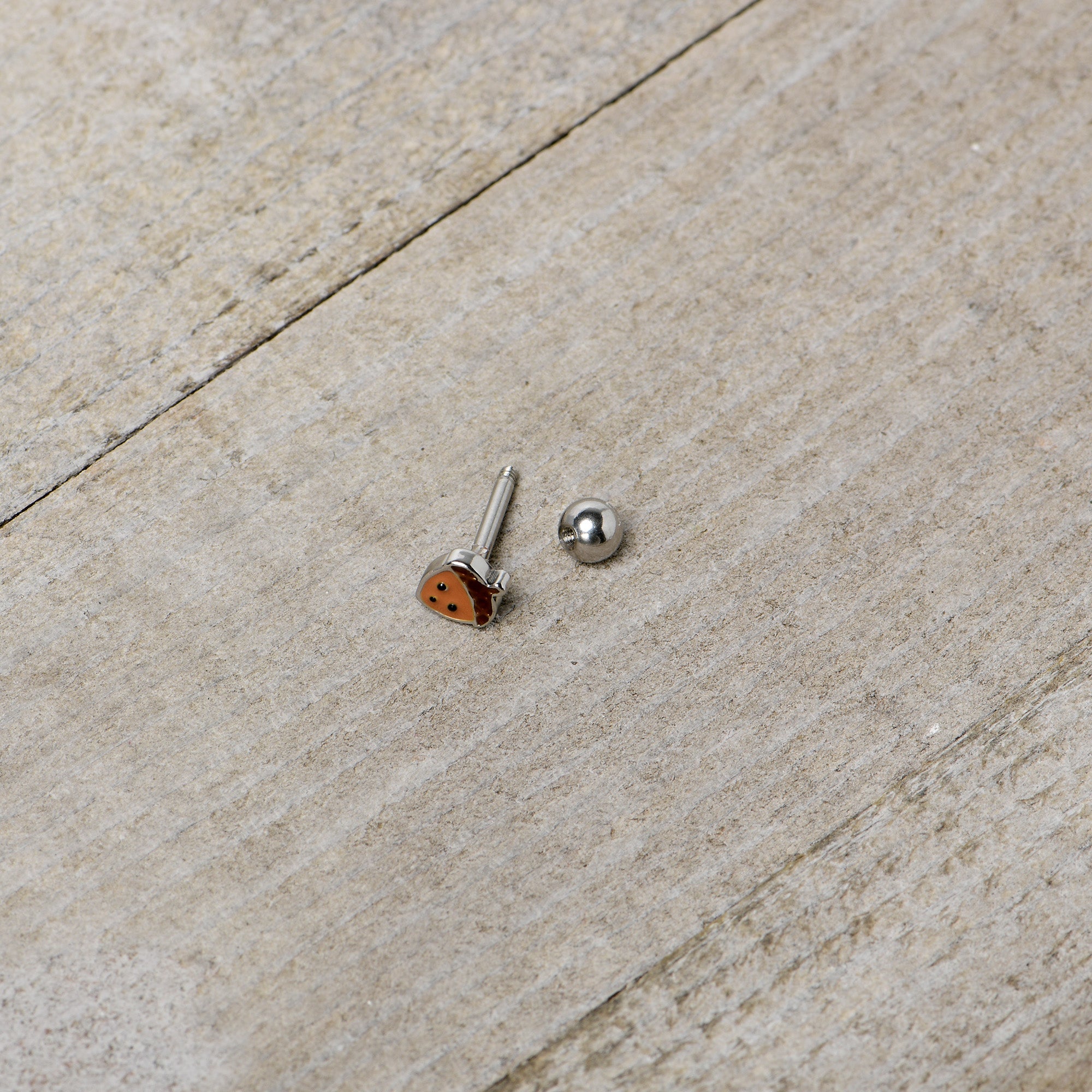 16G 5/16 Acorn Face Brown Autumn Cartilage Tragus Earring