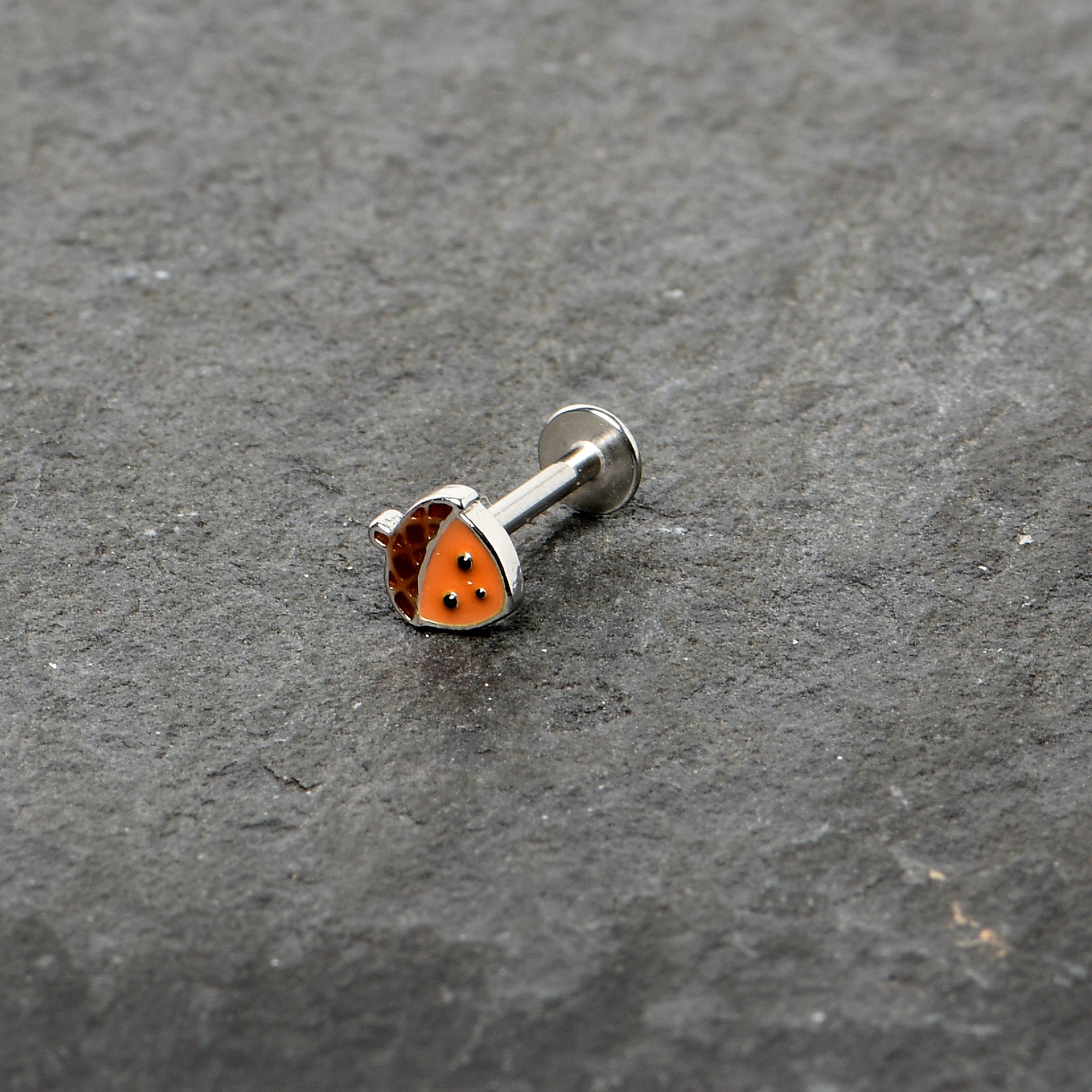 16G 5/16 Acorn Face Brown Autumn Labret Monroe Tragus