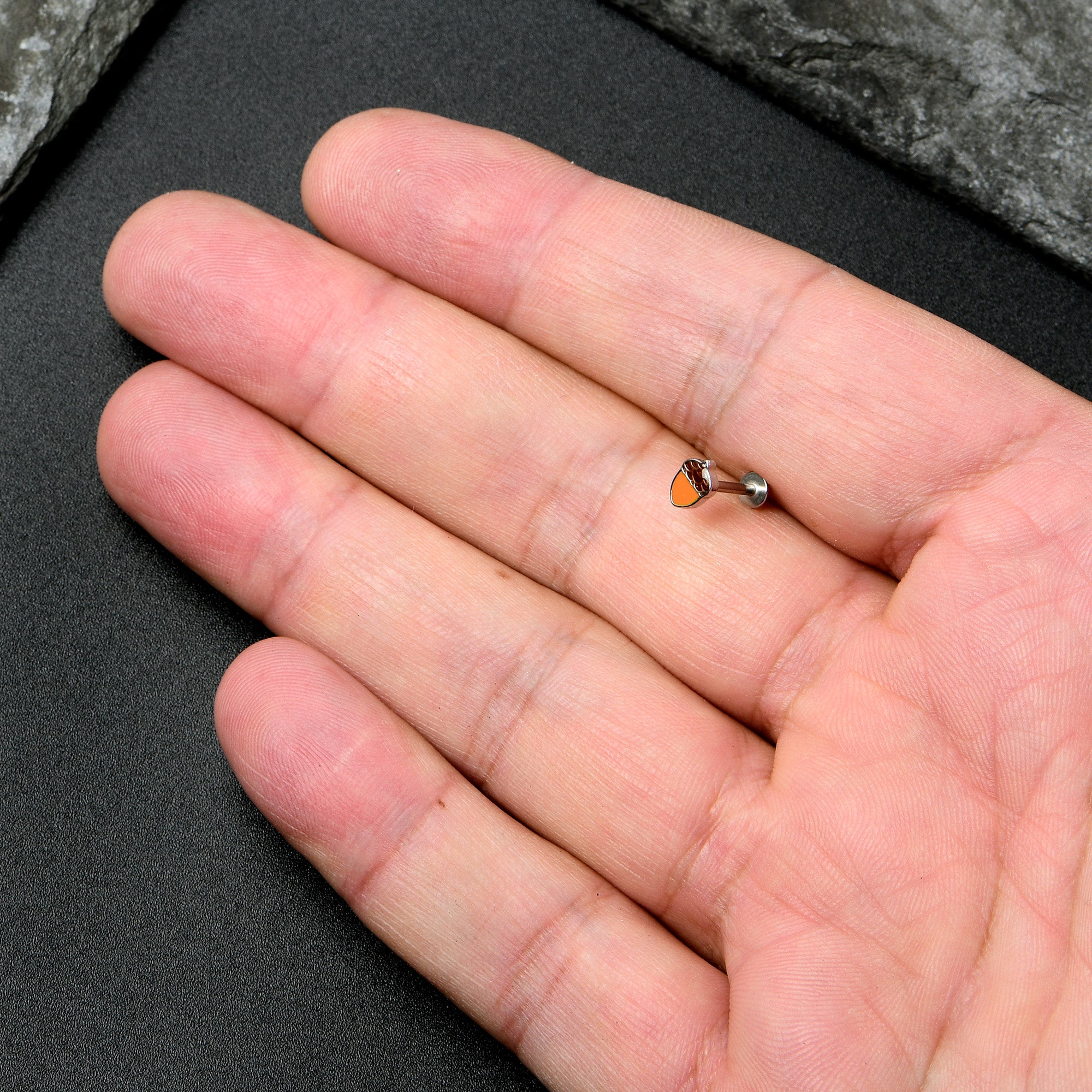 16G 5/16 Autumn Acorn Orange Brown Labret Monroe Tragus