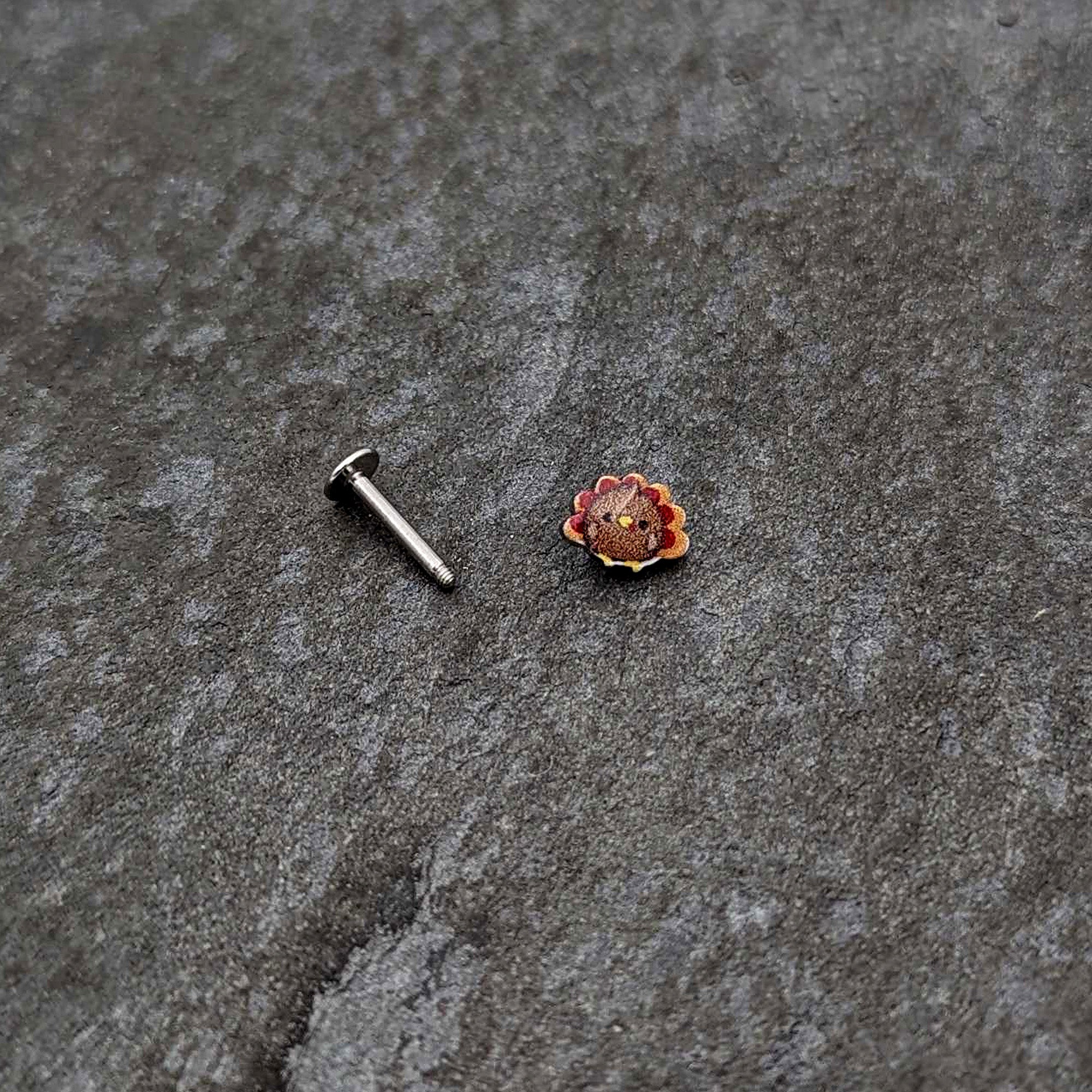 16G 5/16 Sweet Tiny Turkey Thanksgiving Labret Monroe Tragus