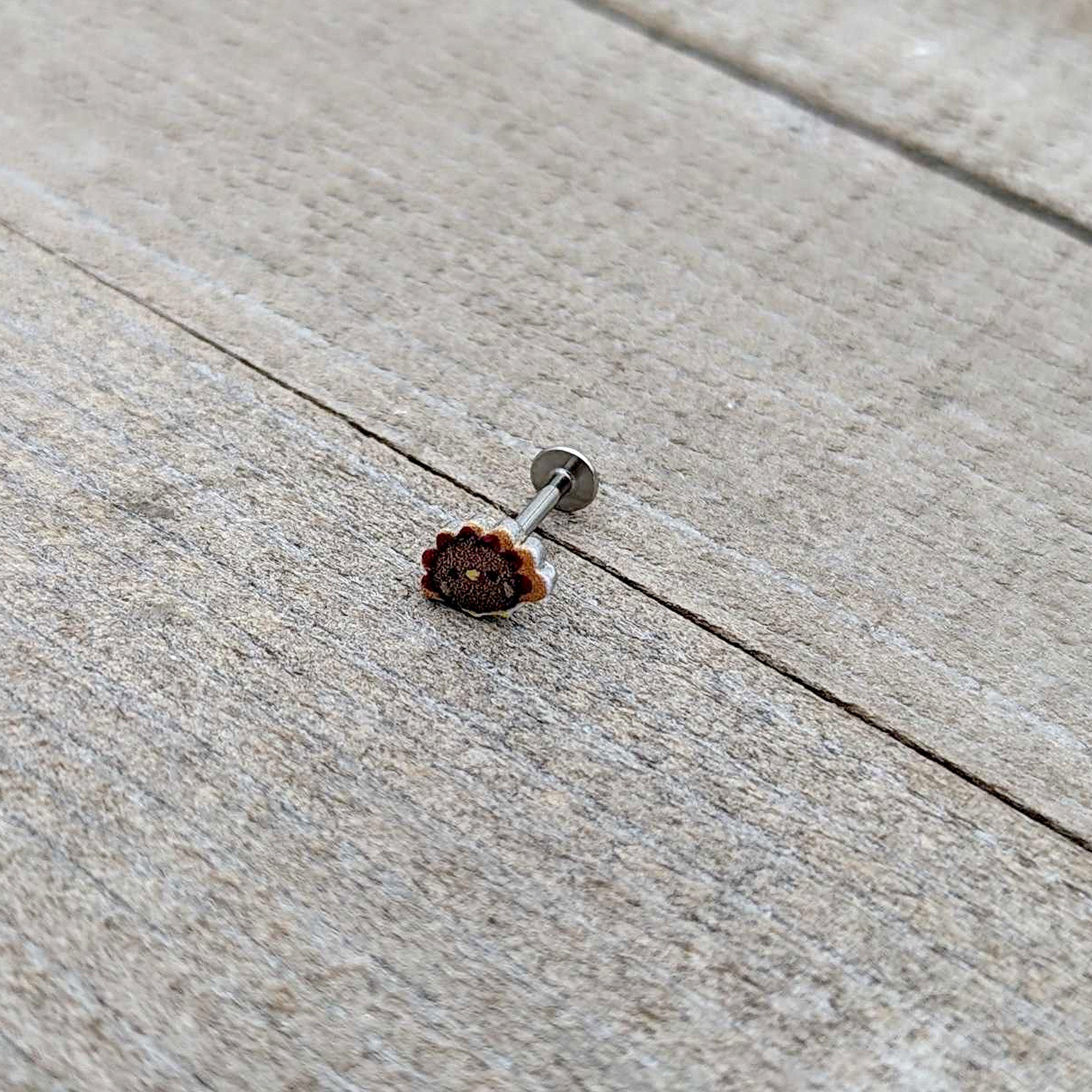 16G 5/16 Sweet Tiny Turkey Thanksgiving Labret Monroe Tragus