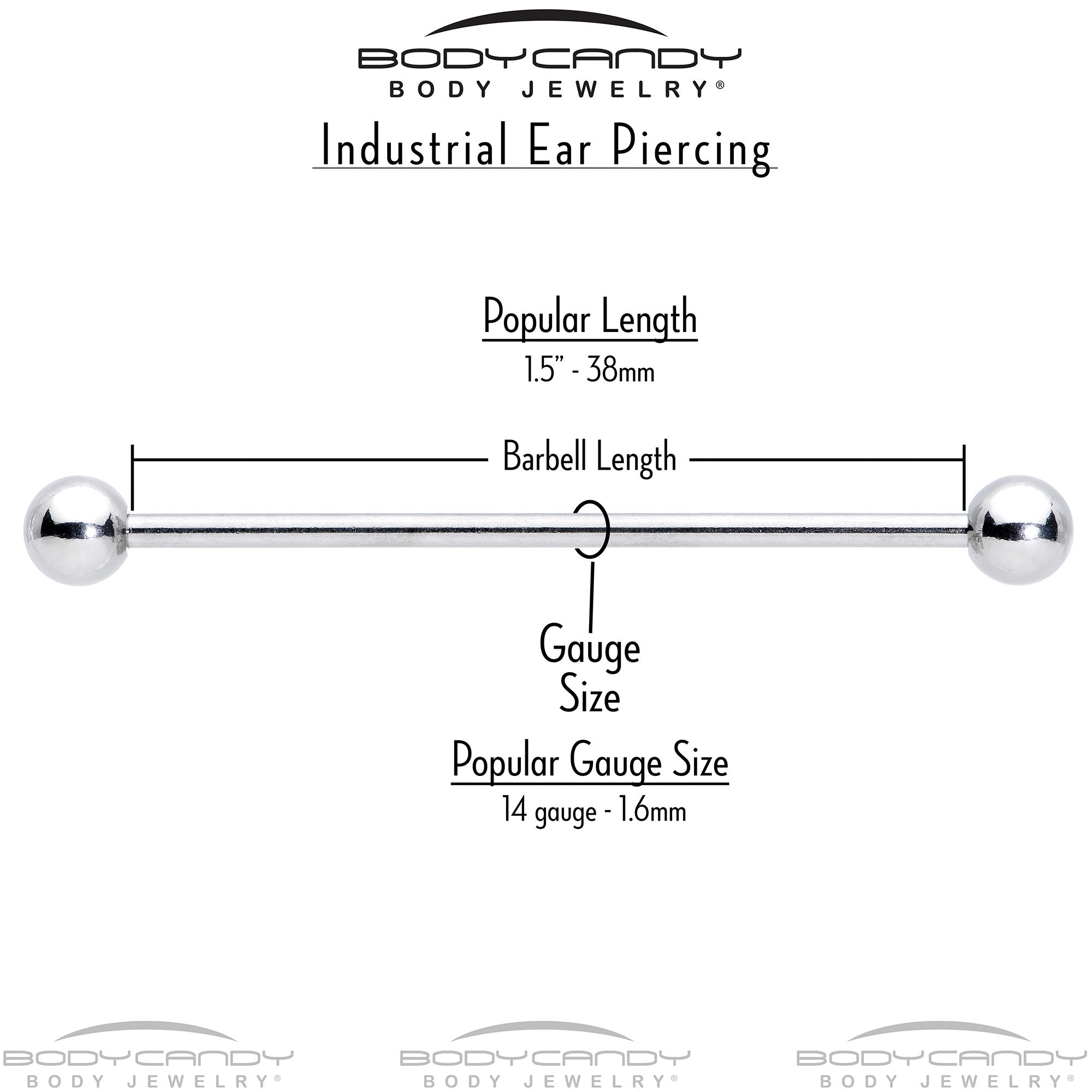 14G Cheery Inlay Sunflowers Industrial Barbell 38mm