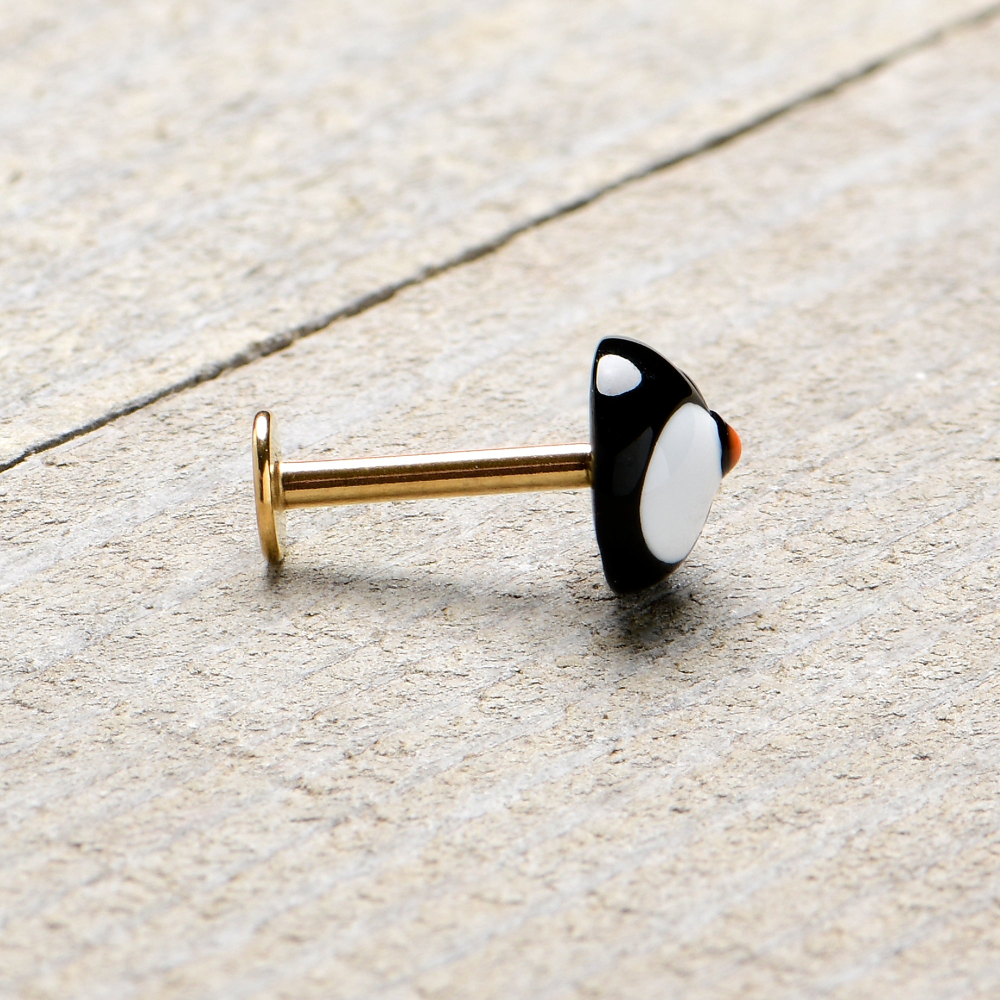 16G 5/16 Gold Hue Round Penguin Face Holiday Labret Monroe Tragus