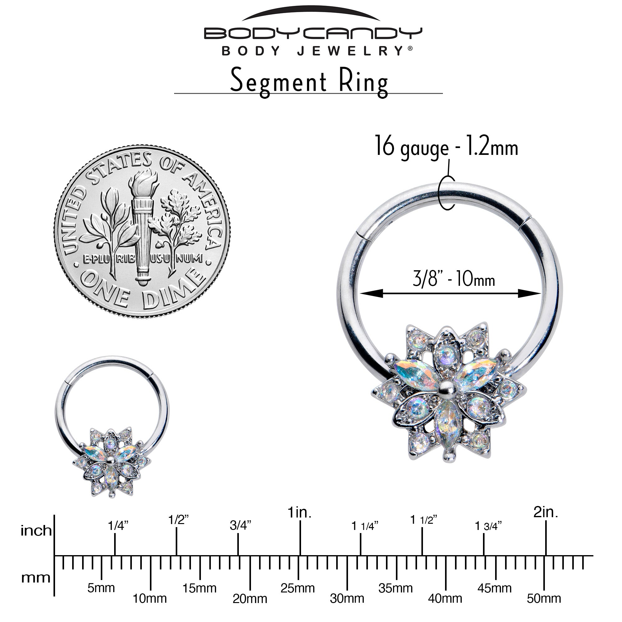 16G 3/8 Aurora CZ Gem Snowflake Style Hinged Segment Ring