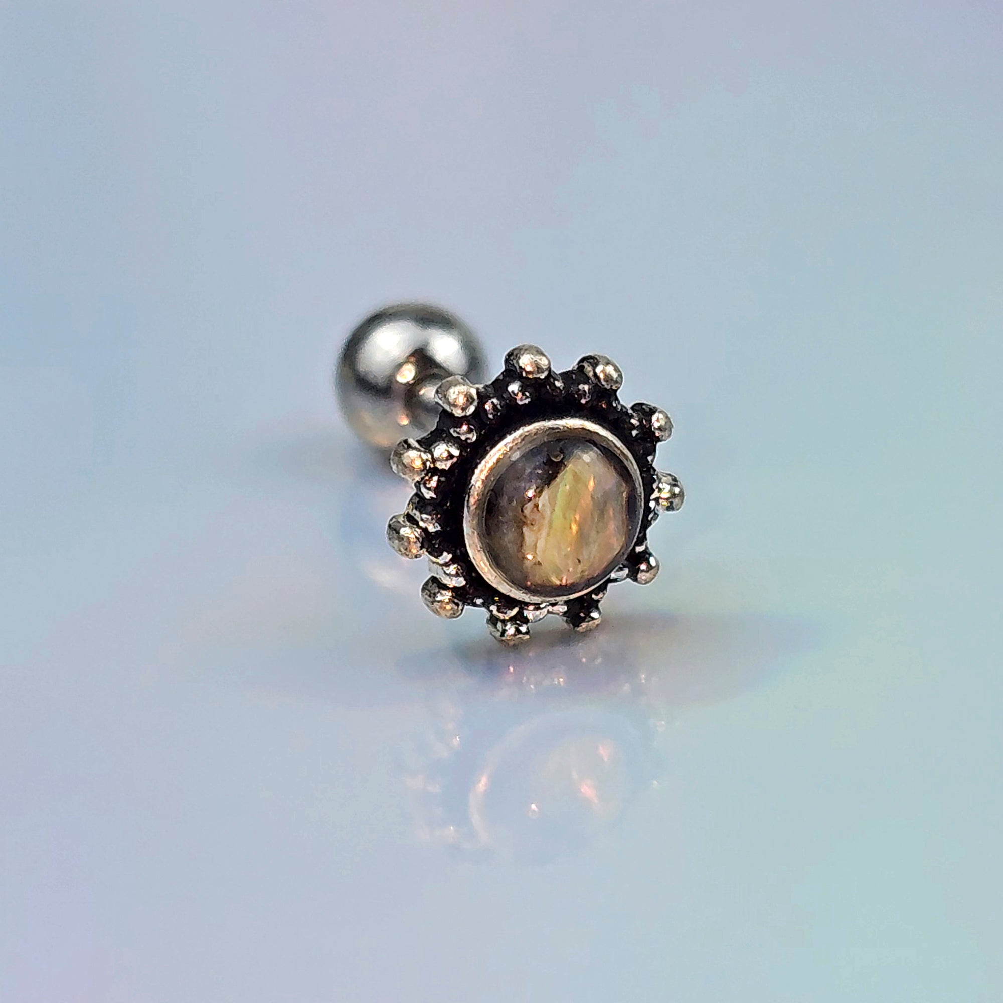 16G 1/4 Brown Faux Shell Circle Of Glam Cartilage Tragus Earring