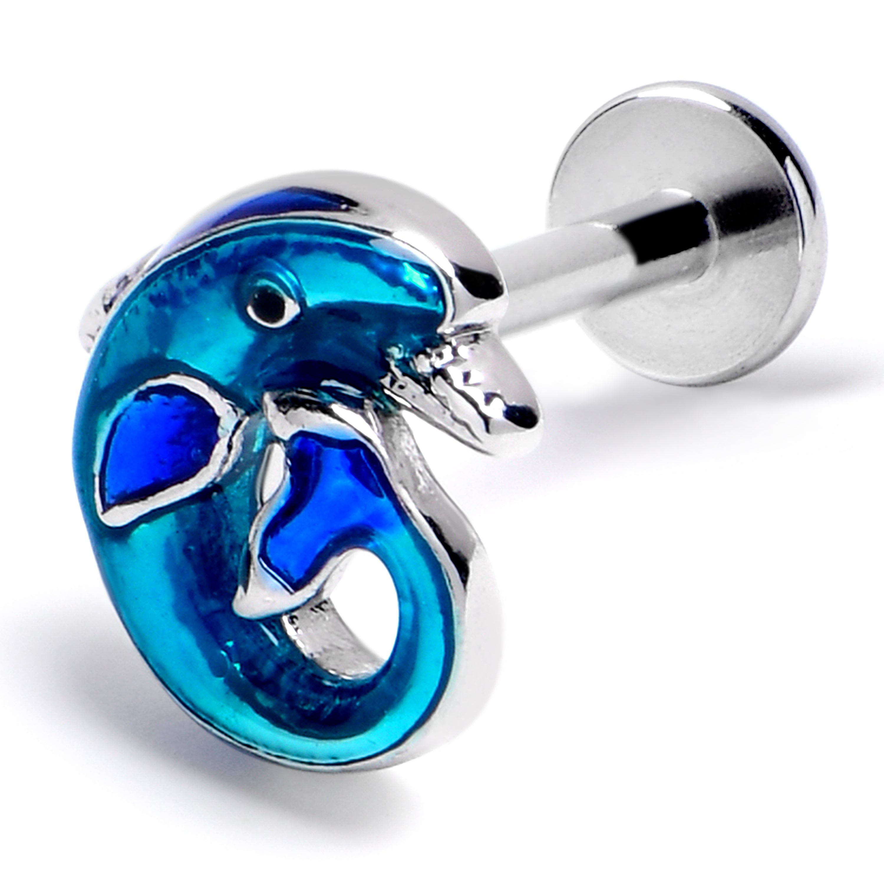 16G 5/16 Dolphin Blue Beauty Labret Monroe Tragus