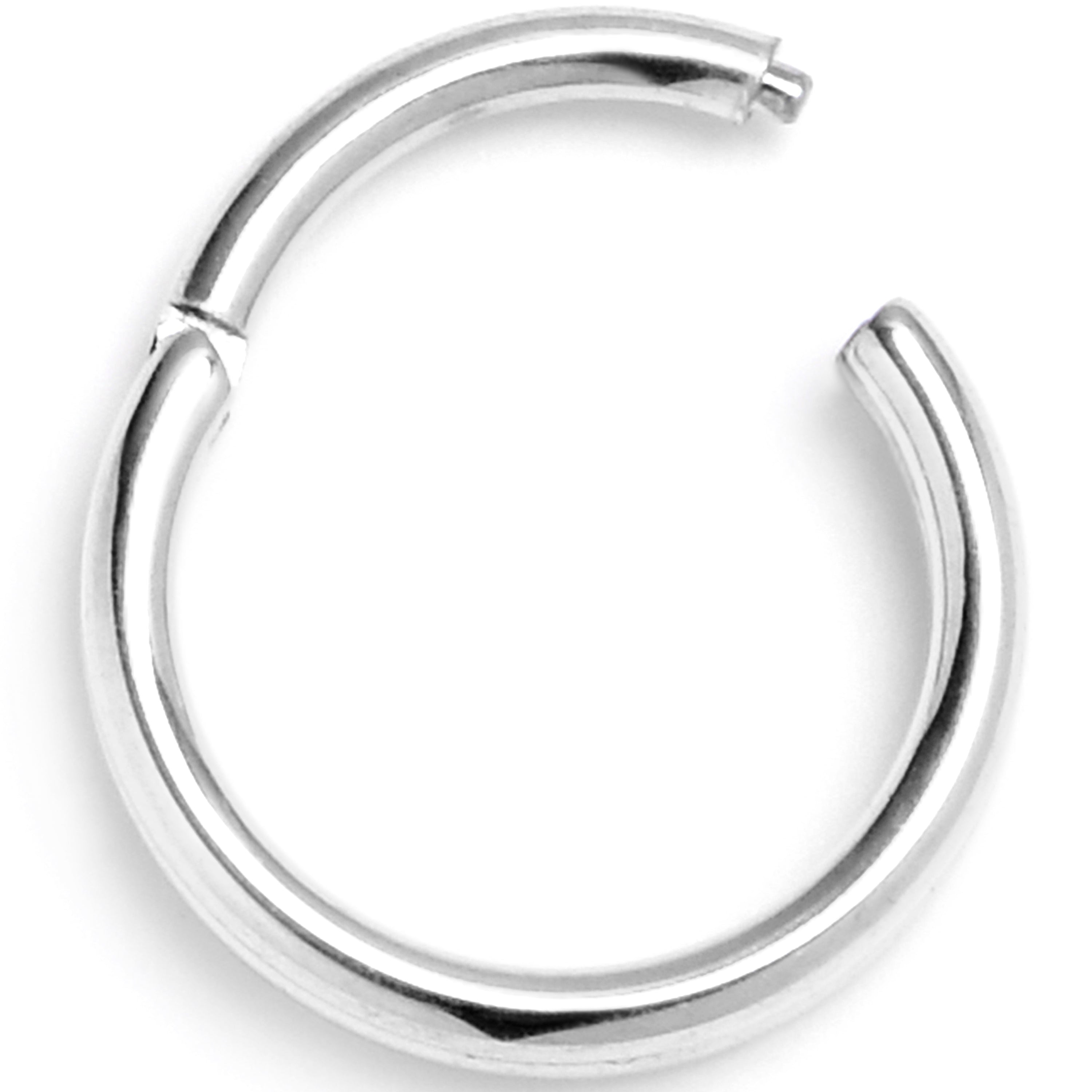 20G 1/4 316L Surgical Steel Double Precision Hinged Segment Ring