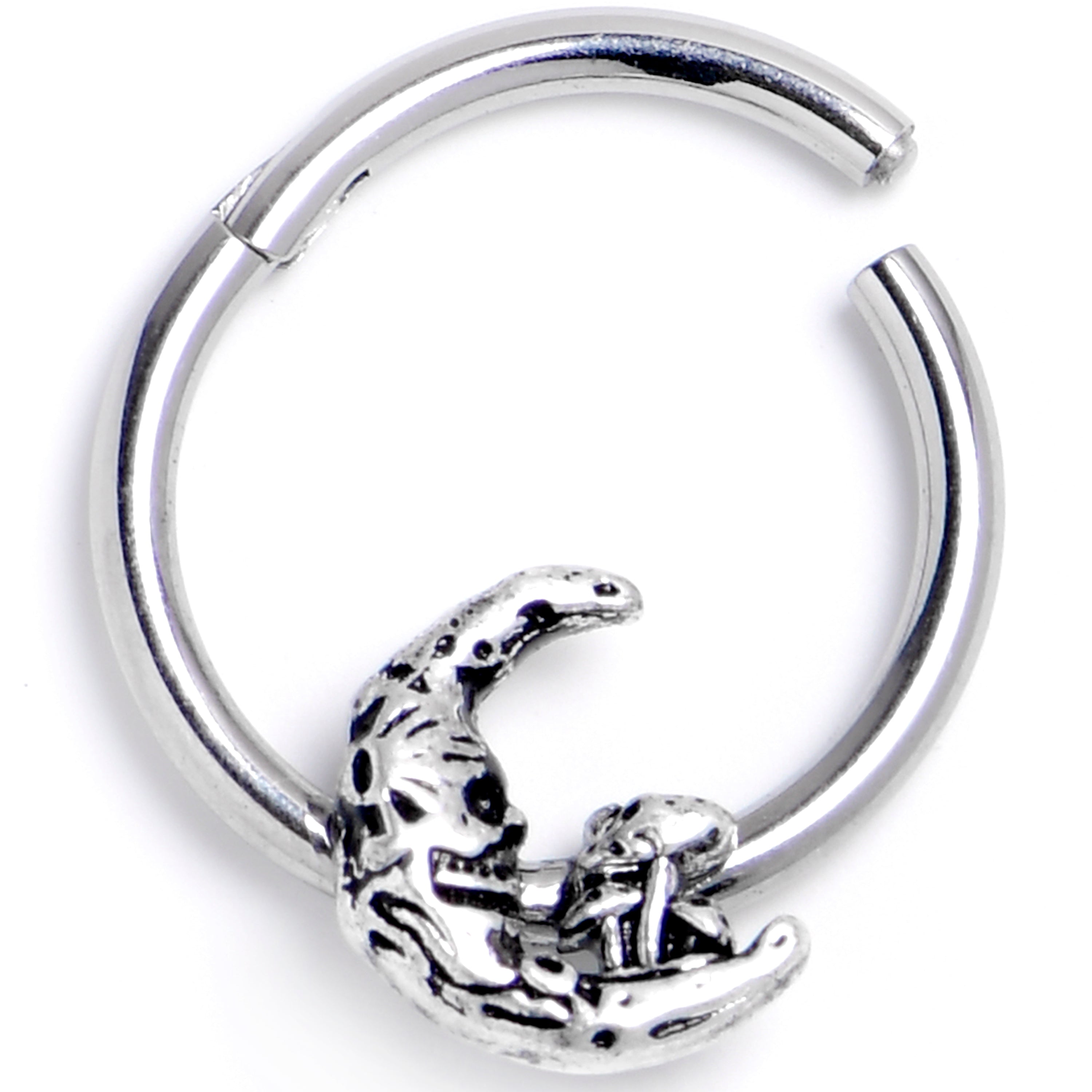 16G 3/8 Mushrooms on the Moon Hinged Segment Ring