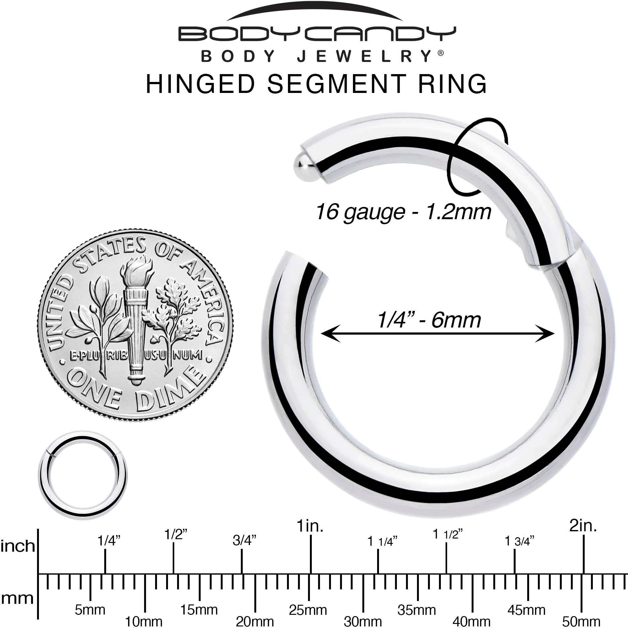 16G 1/4 316L Surgical Steel Precision Hinged Segment Hoop