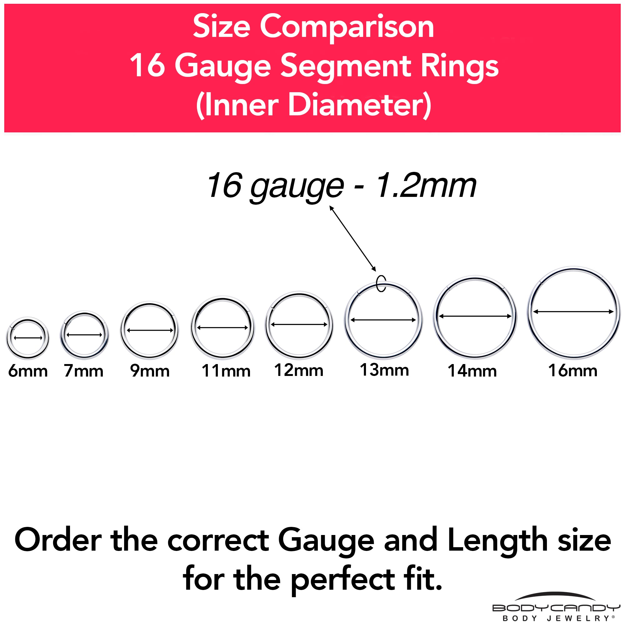 16G 1/4 316L Surgical Steel Precision Hinged Segment Hoop