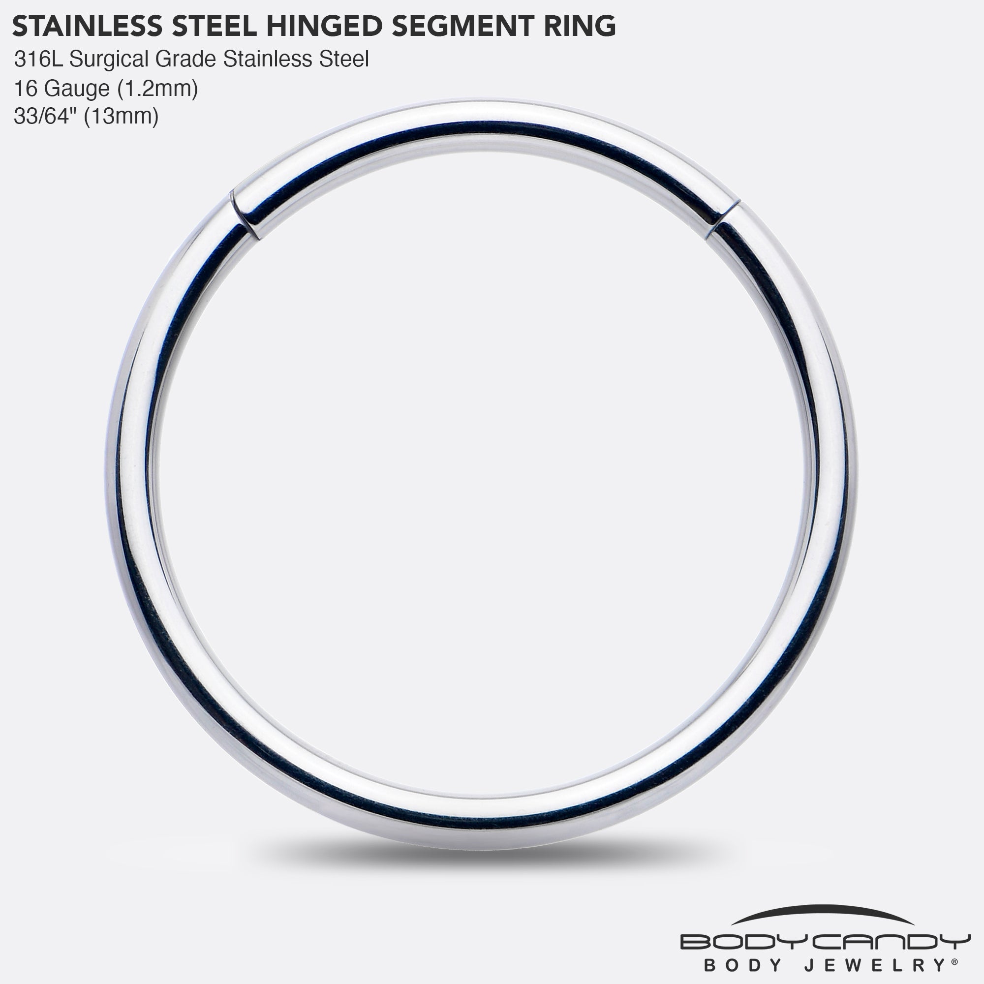 16G 13mm 316L Surgical Steel Precision Hinged Segment Hoop