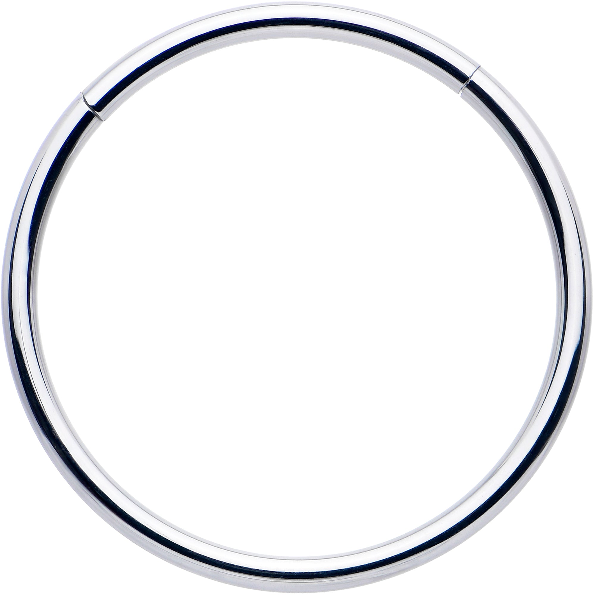 16G 5/8 316L Surgical Steel Precision Hinged Segment Hoop