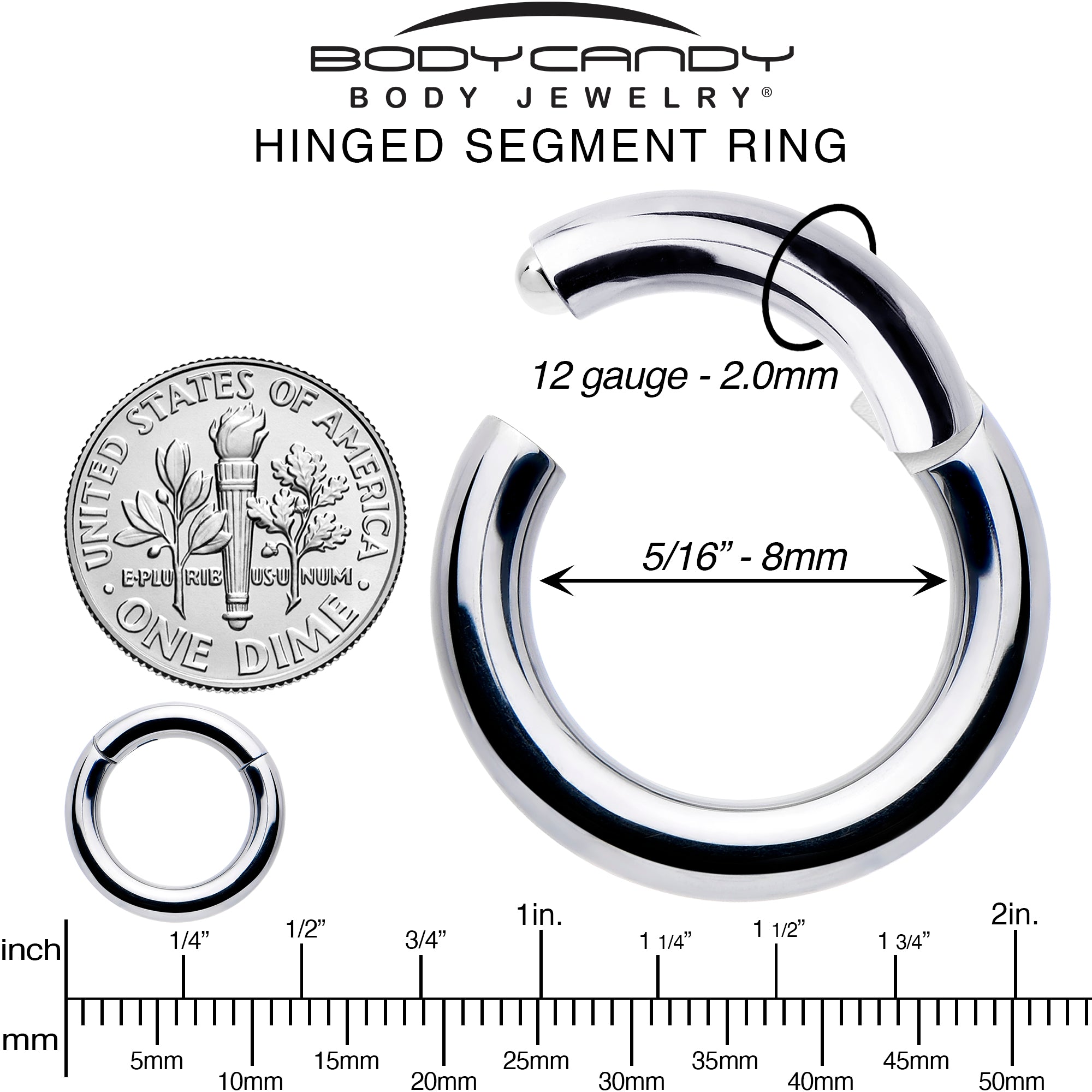 12G 5/16 316L Surgical Steel Precision Hinged Segment Hoop