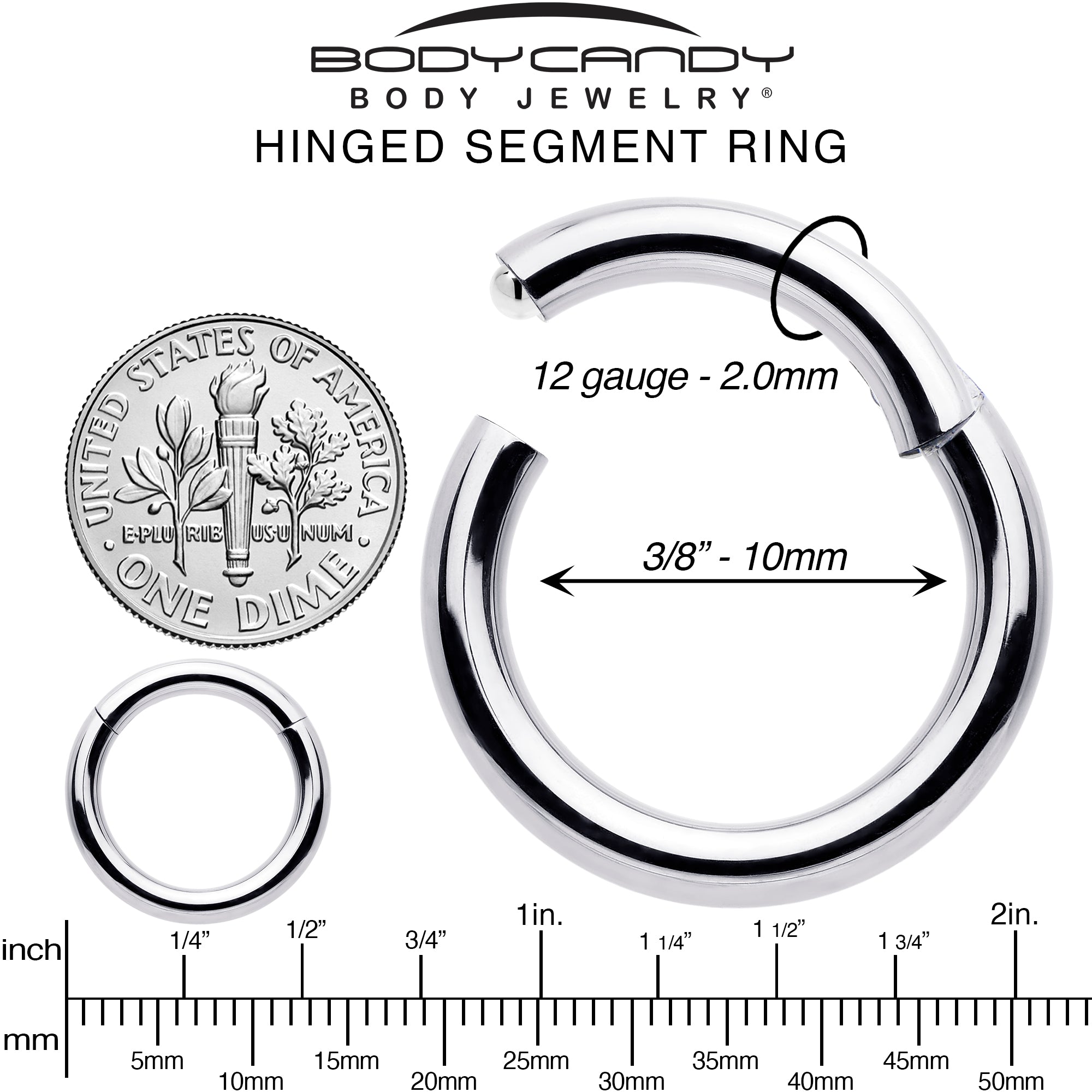 12G 3/8 316L Surgical Steel Precision Hinged Segment Hoop