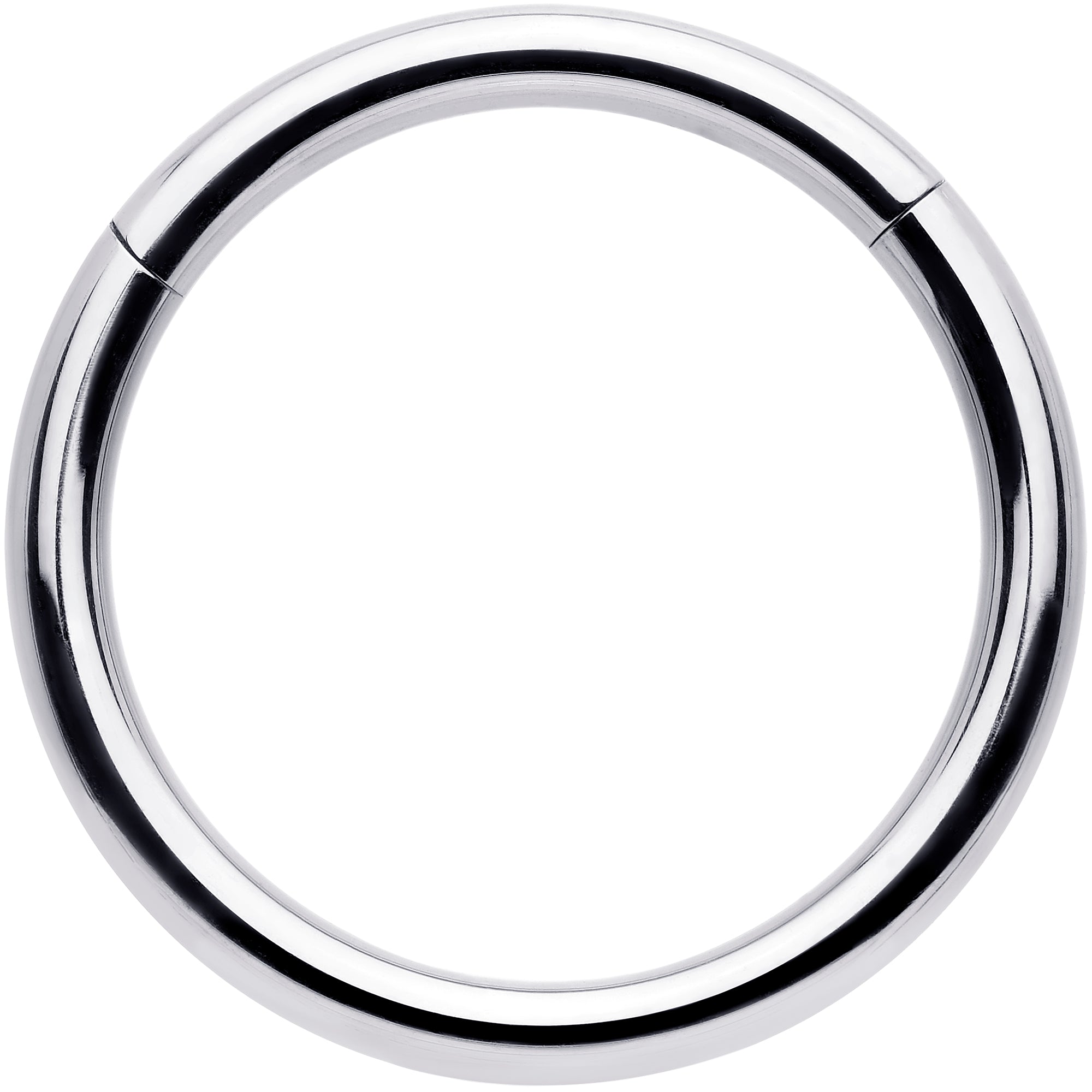 12G 5/8 316L Surgical Steel Precision Hinged Segment Hoop