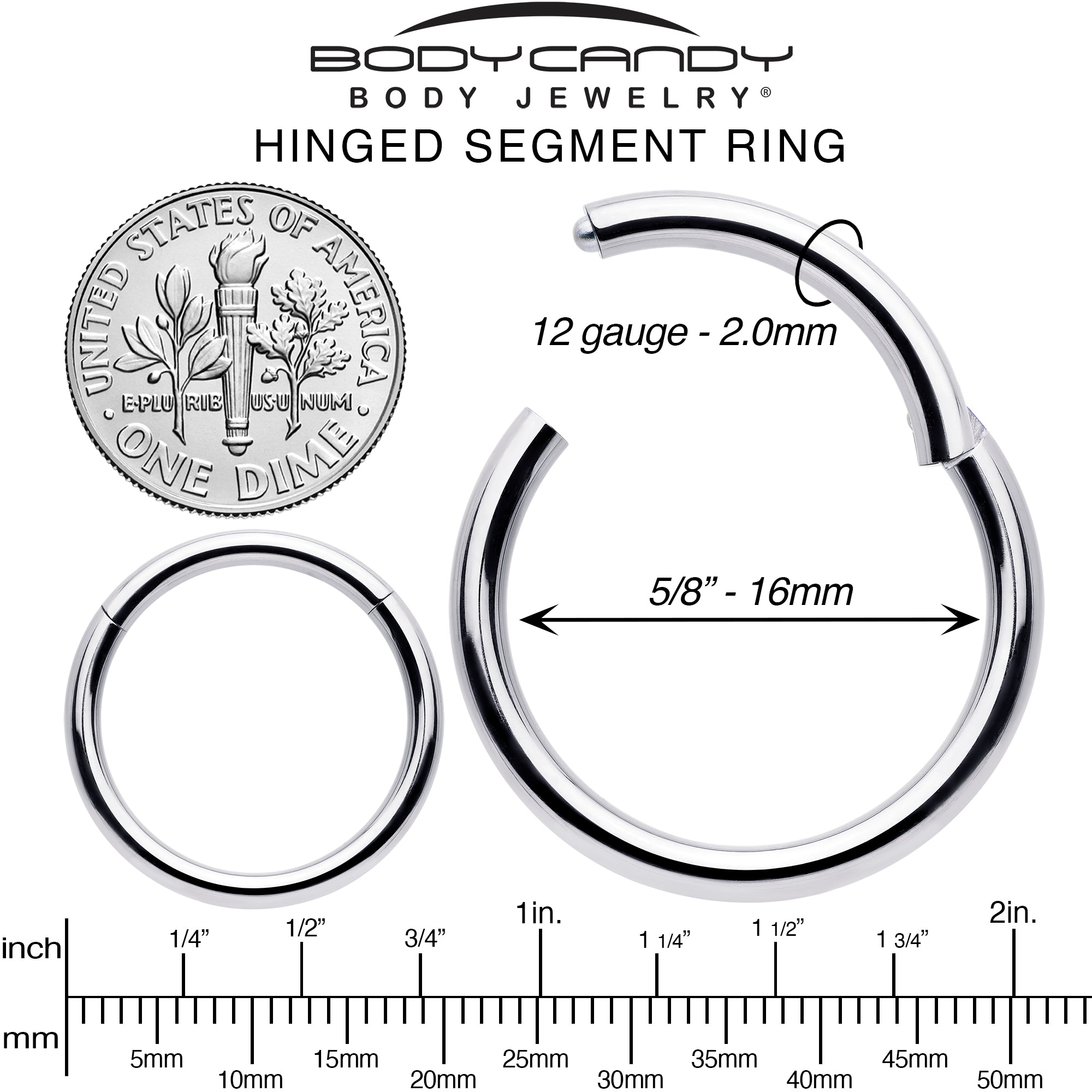 12G 5/8 316L Surgical Steel Precision Hinged Segment Hoop