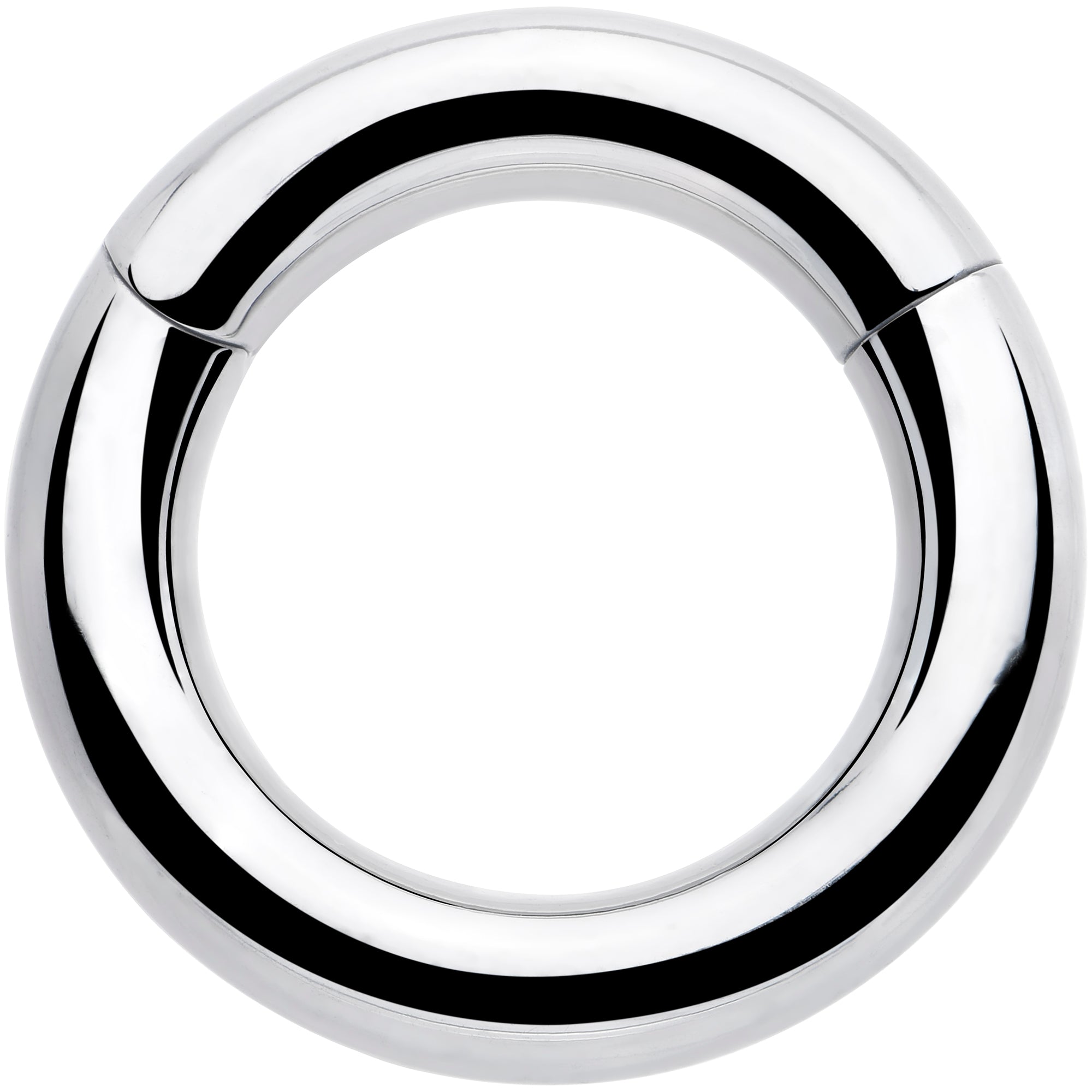 6G 9/16 316L Surgical Steel Precision Hinged Segment Hoop