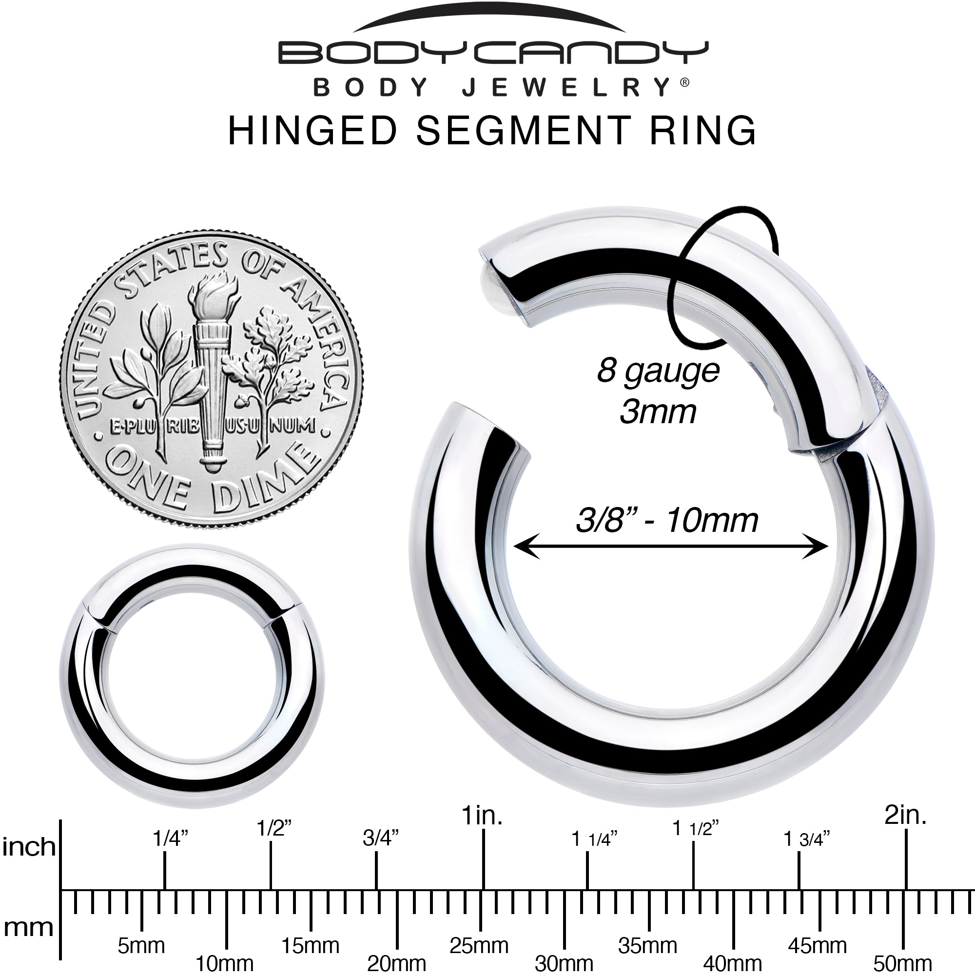 8G 3/8 316L Surgical Steel Precision Hinged Segment Hoop