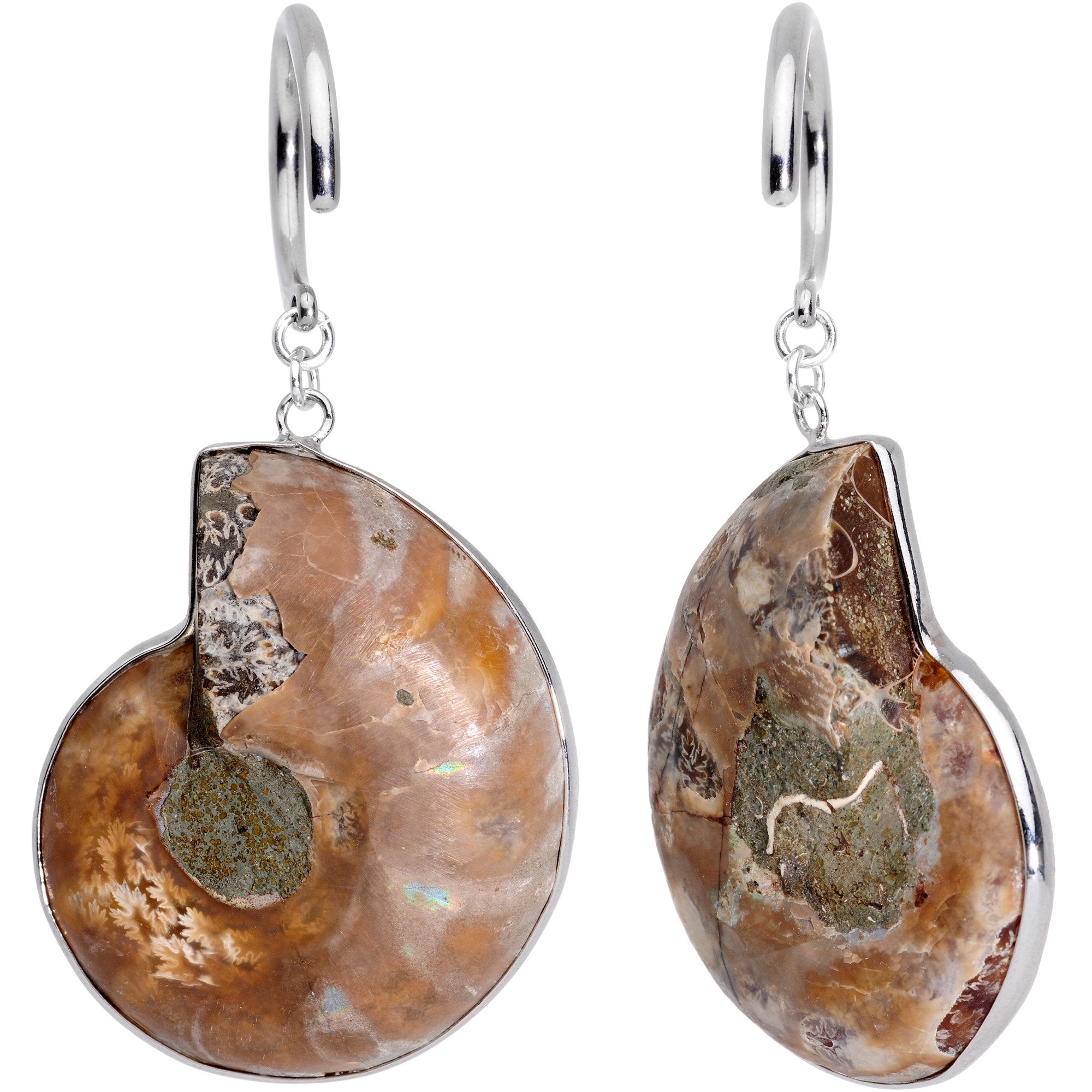Handcrafted Spiral Ammonite Sea Fossil Ear Weights