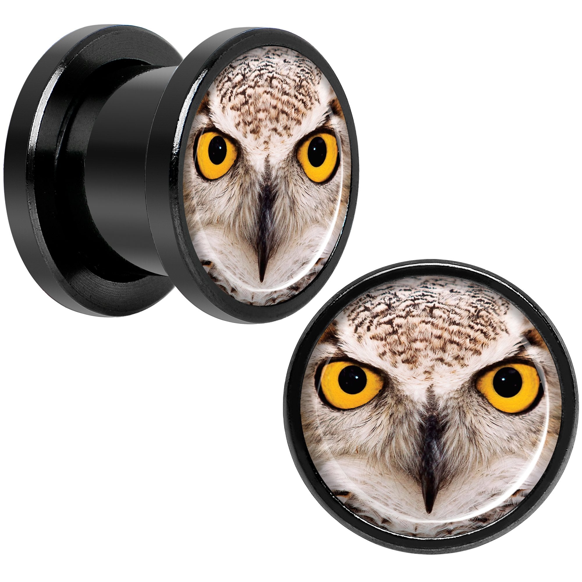 Full Color Owl Black Anodized Screw Fit Plug Set 00G