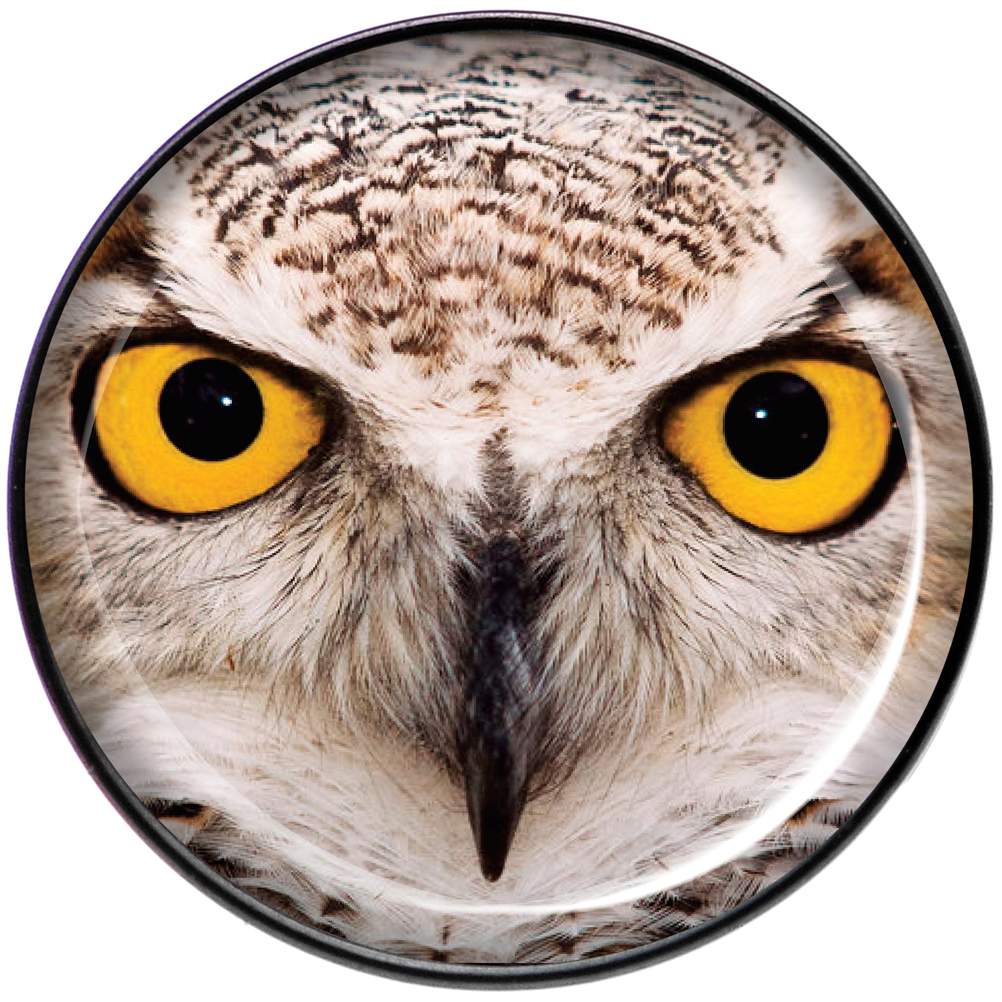 Full Color Owl Black Barbell Tongue Ring