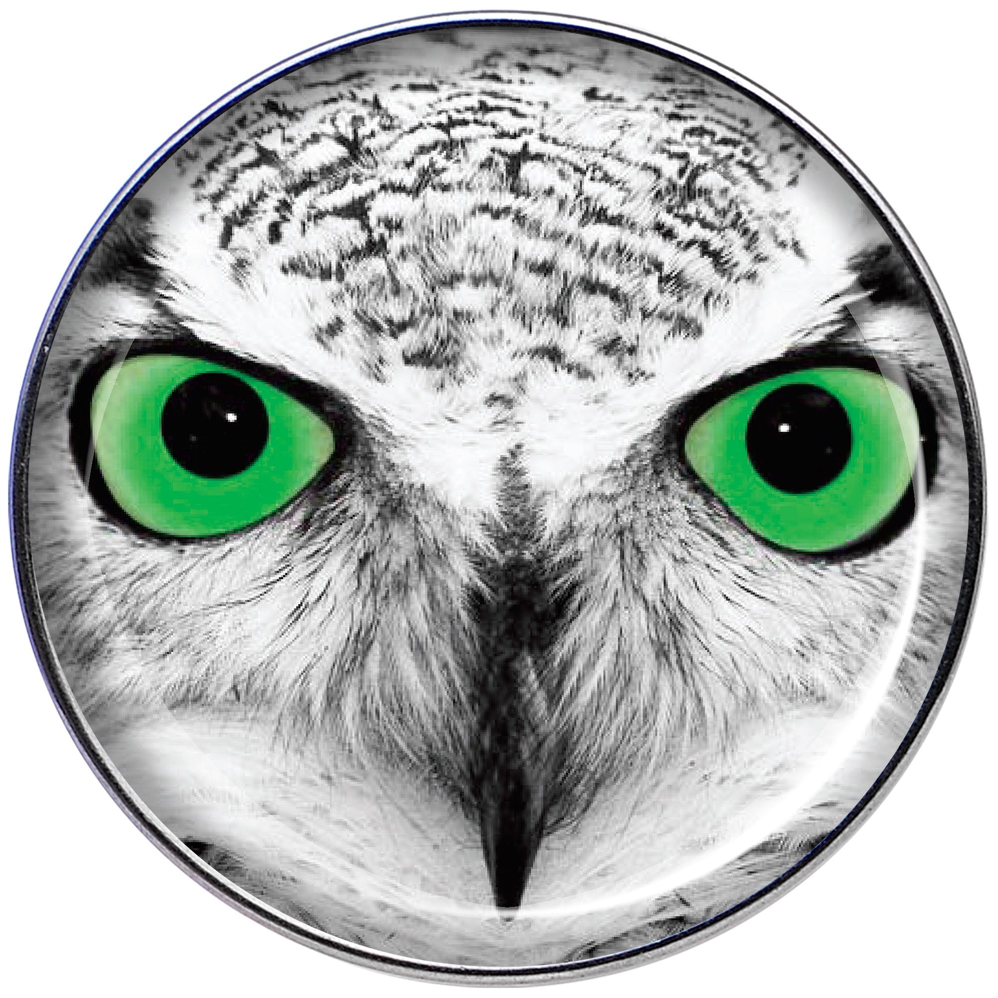 16G 1/4 Black White Owl Tragus Cartilage Earring