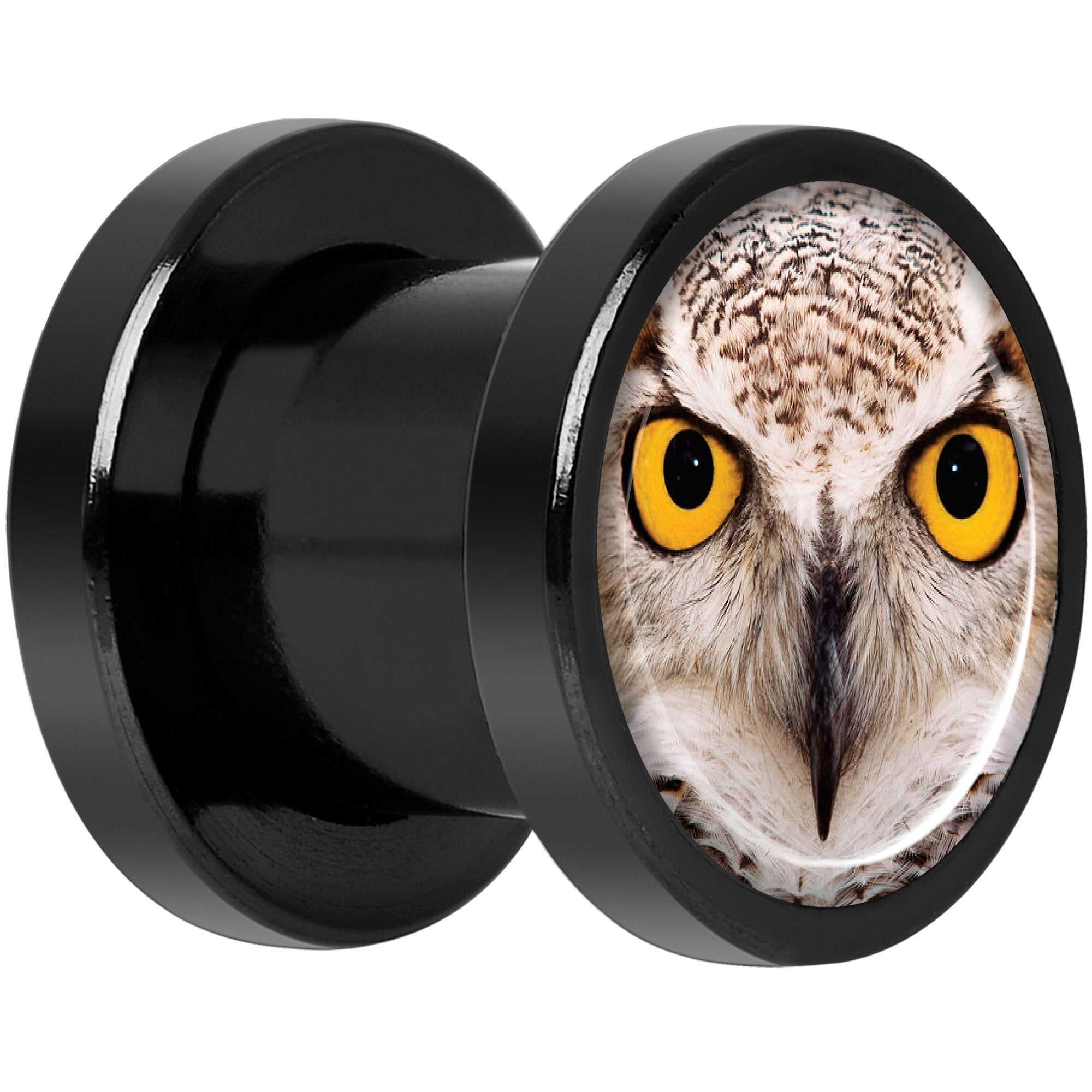 Full Color Owl Black Anodized Screw Fit Plug Set 0G