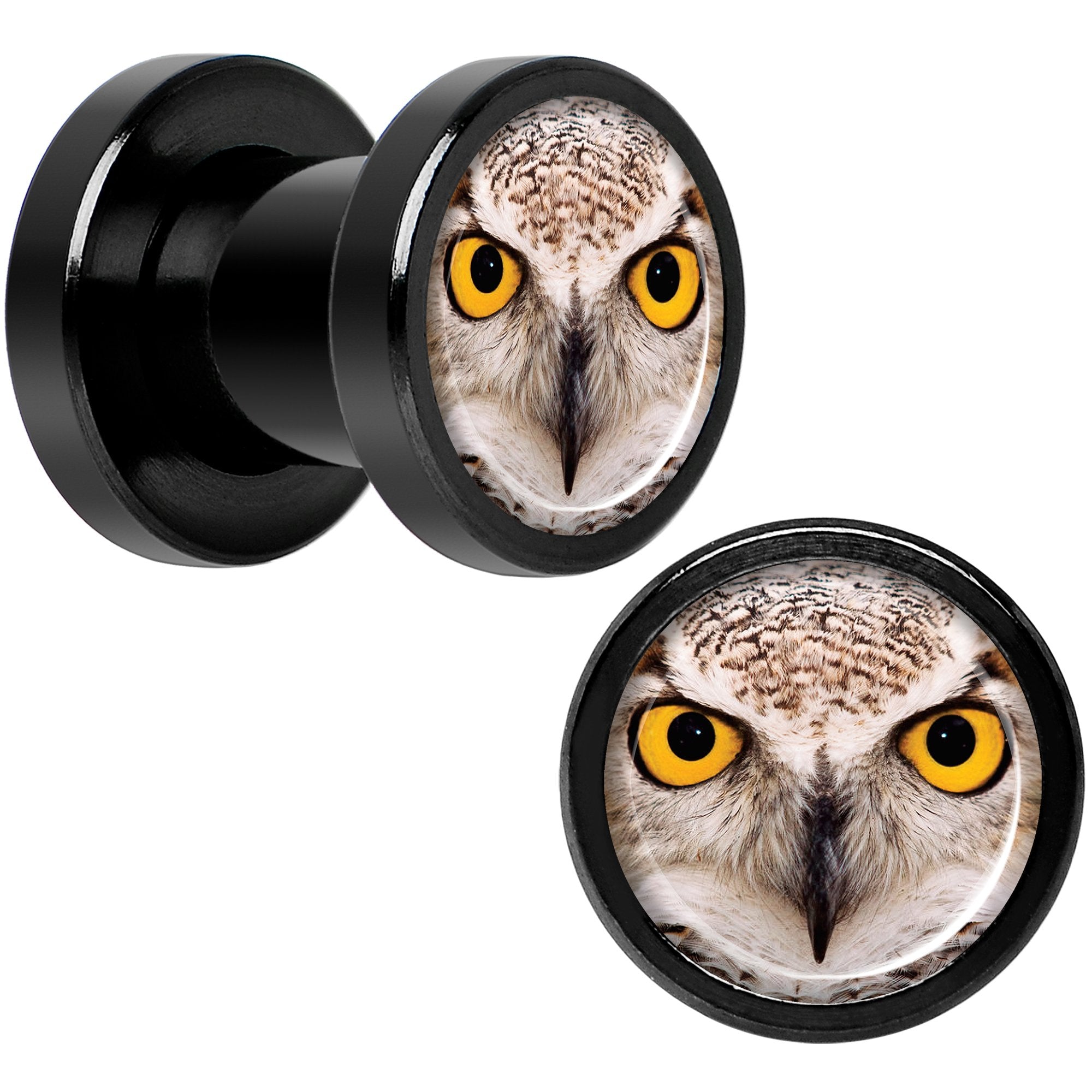 Full Color Owl Black Anodized Screw Fit Plug Set 2G